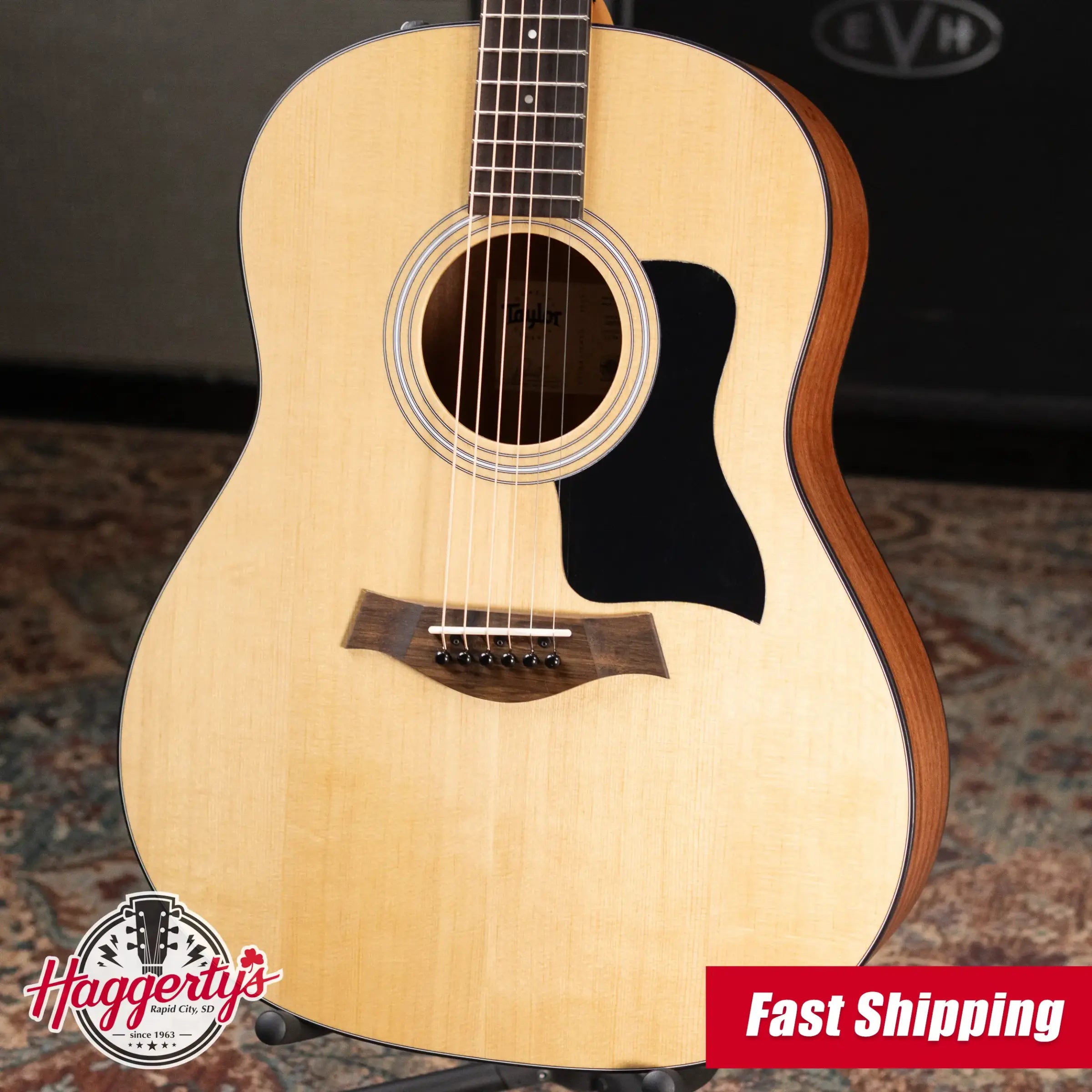Taylor 117e Grand Pacific Acoustic/Electric Guitar with Gig Bag - Demo