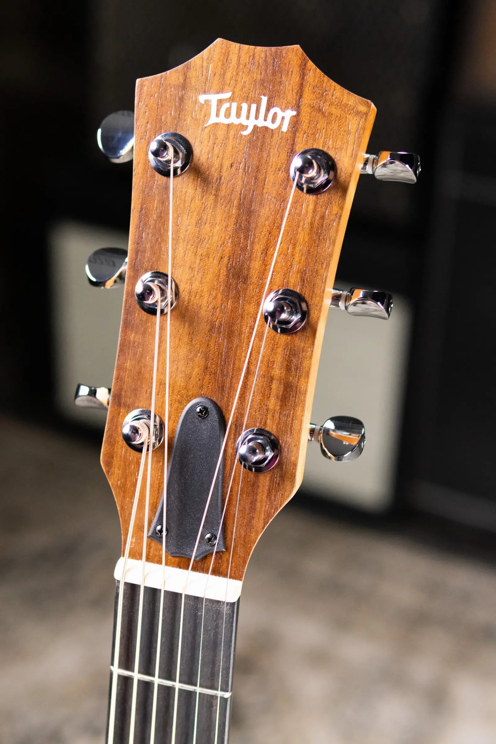 Taylor 14ce Grand Auditorium Acoustic/Electric Guitar with Gig Bag
