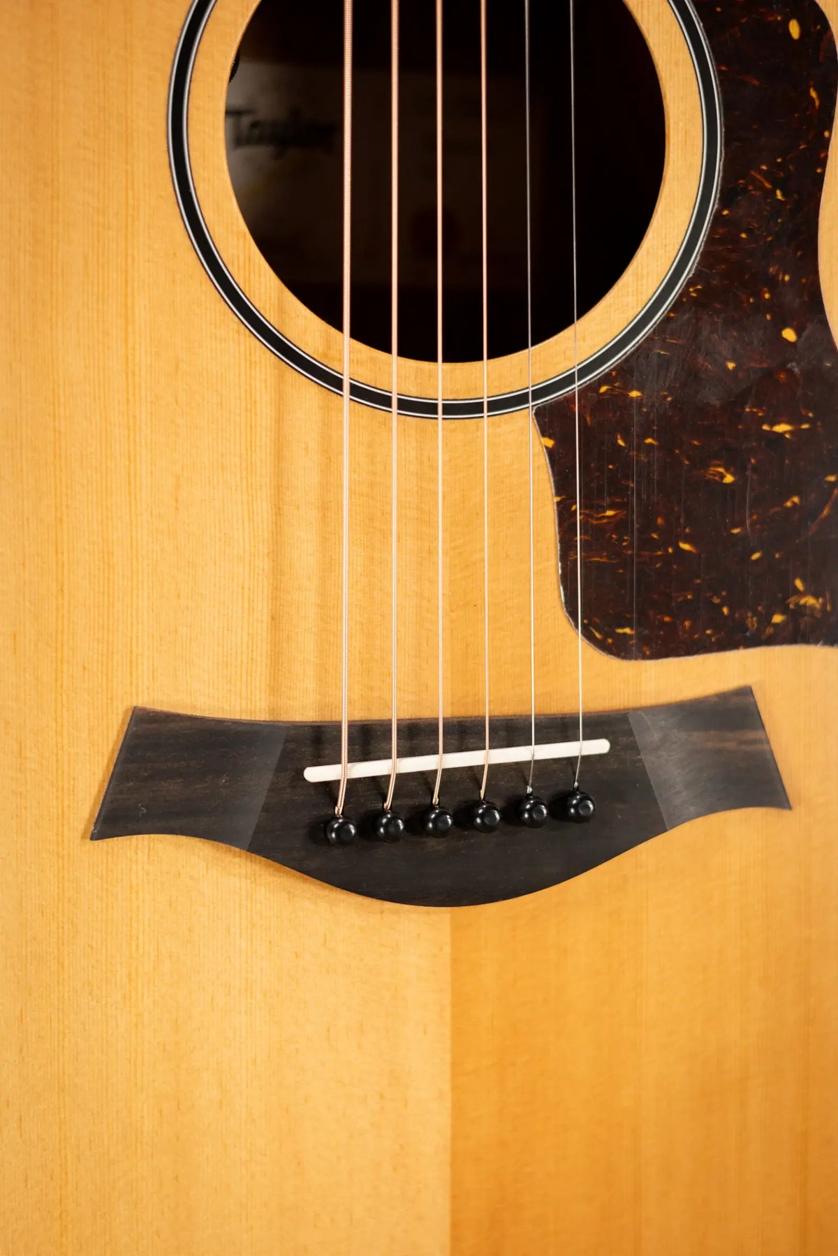 Taylor 14ce Grand Auditorium Acoustic/Electric Guitar with Gig Bag