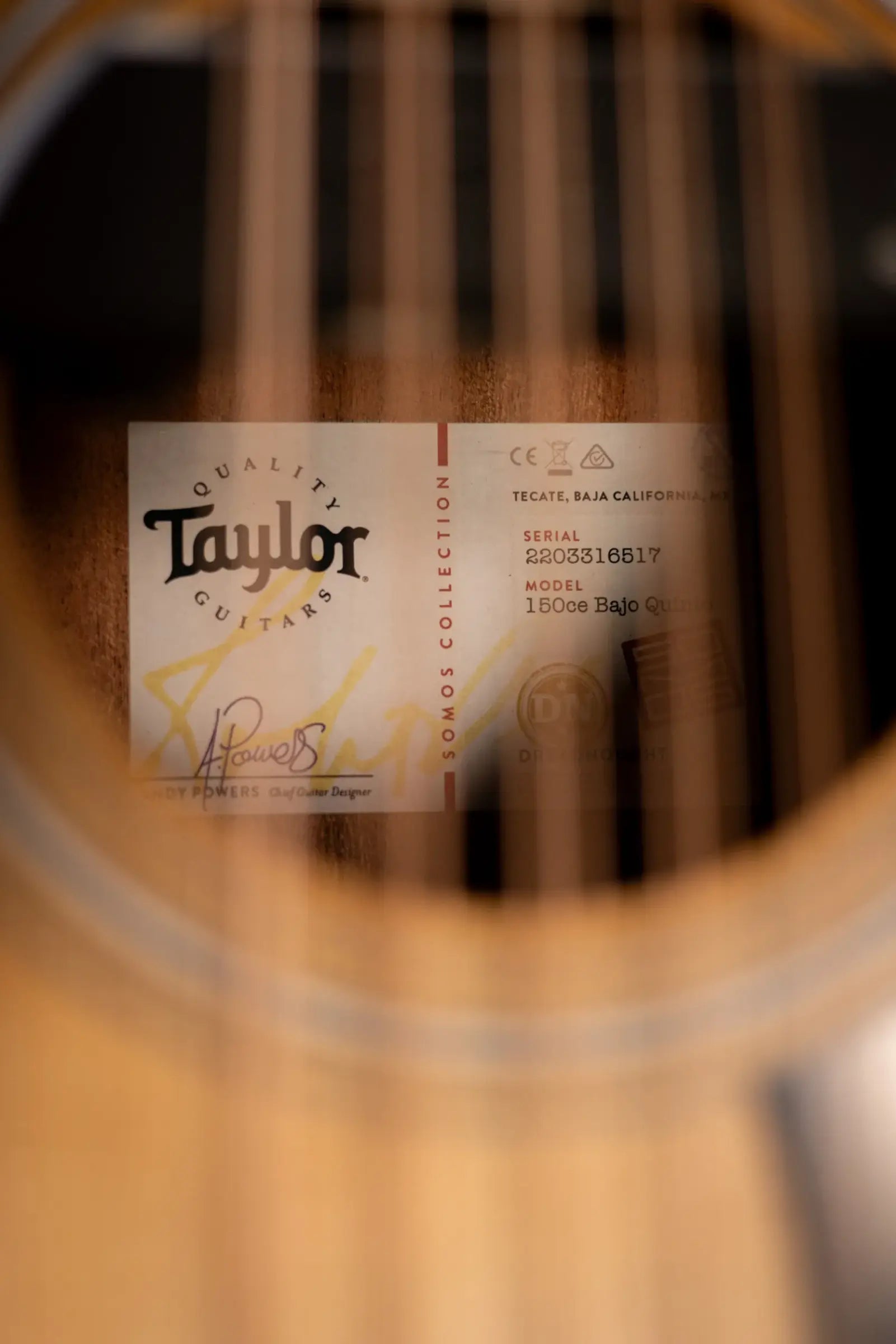 Taylor 150ce Bajo Quinto 12-String Acoustic/Electric Guitar - Sapele/Spruce with Gig Bag
