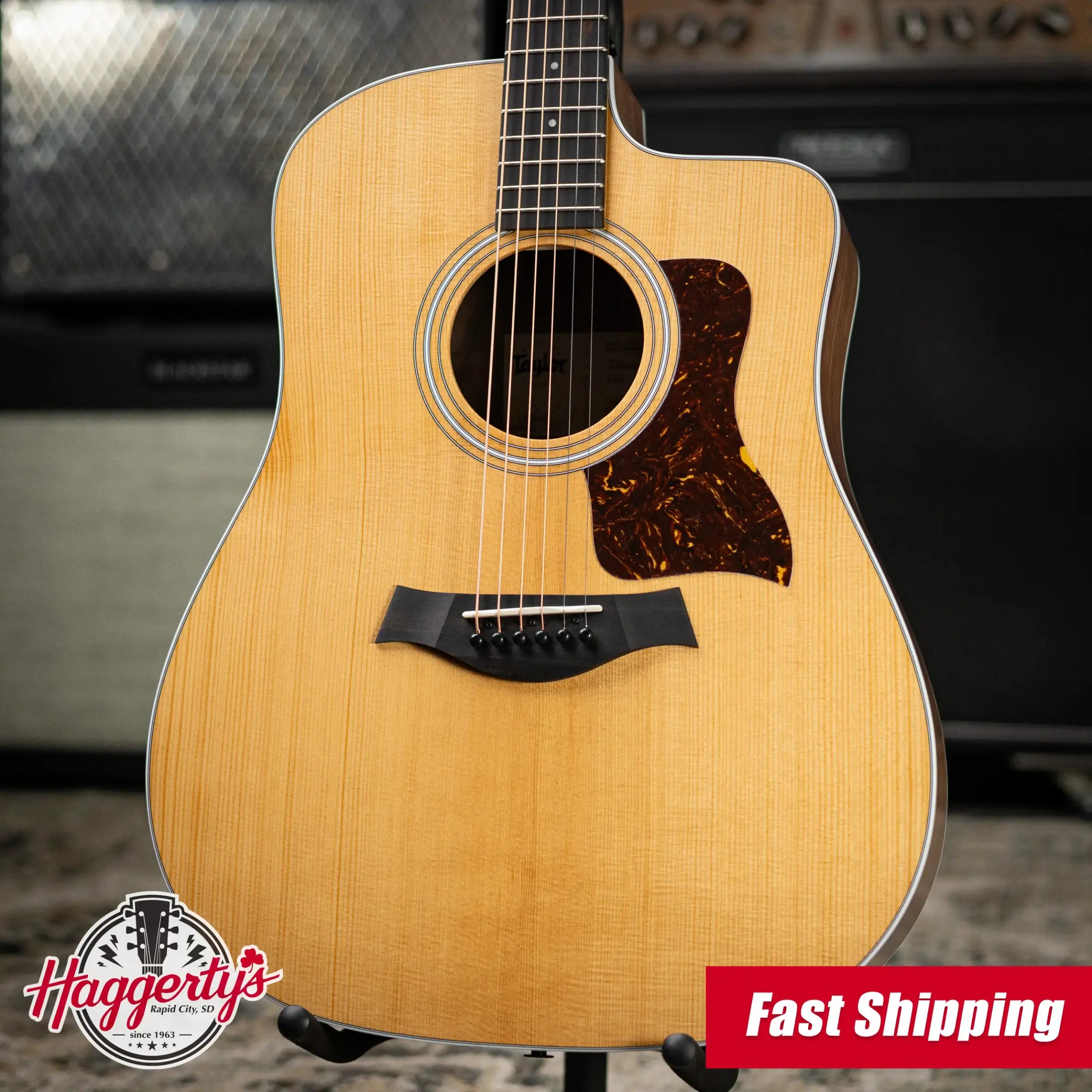Taylor 210ce Dreadnought Acoustic/Electric Guitar with Gig Bag
