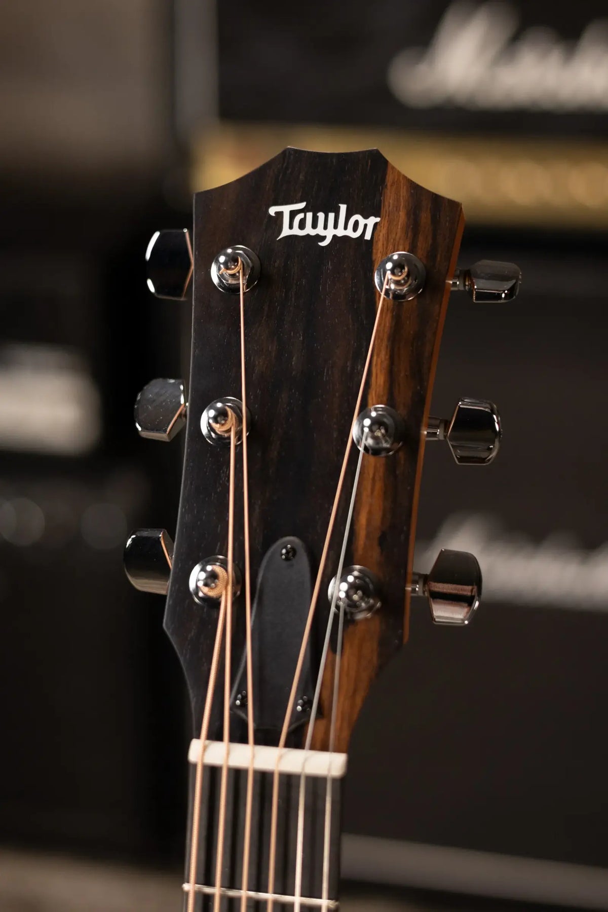 Taylor 210ce Dreadnought Acoustic/Electric Guitar with Gig Bag - Factory Demo