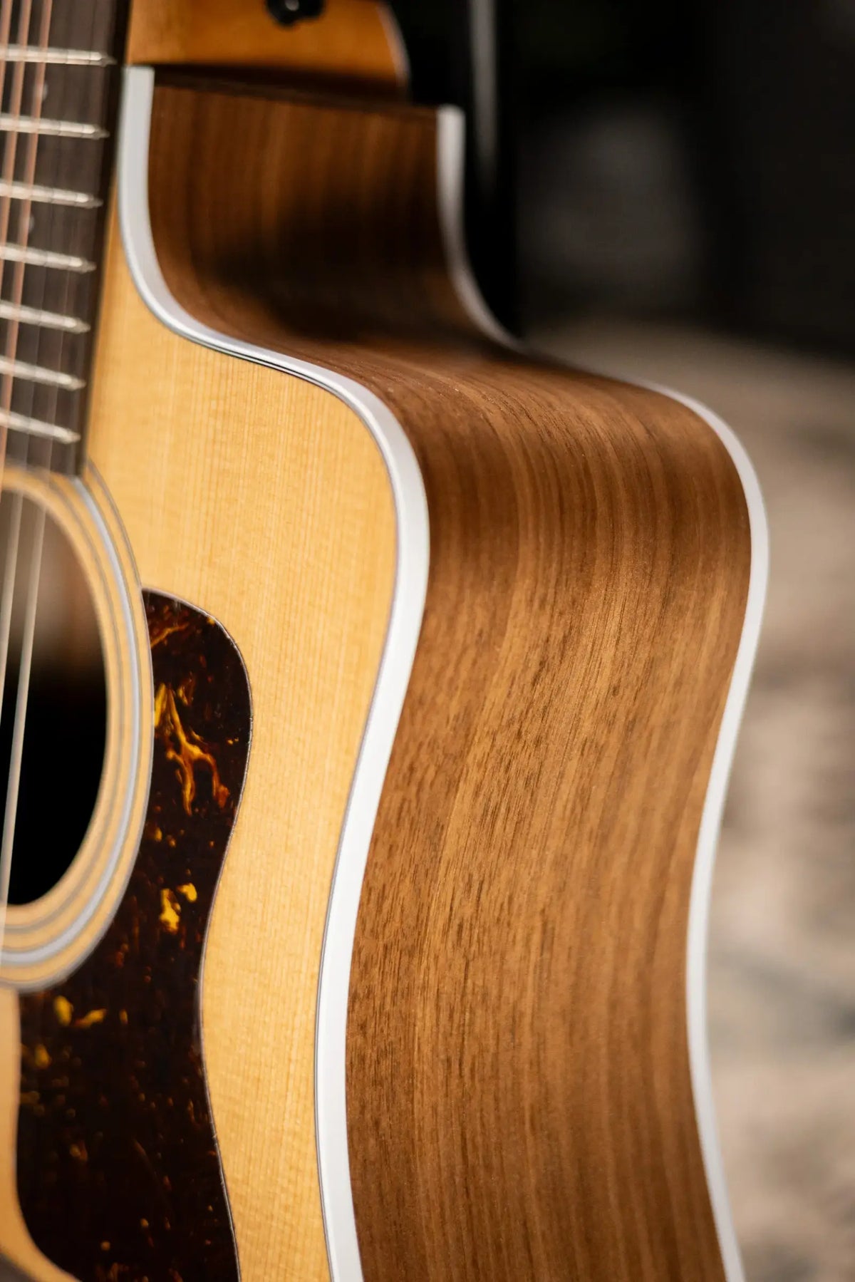 Taylor 210ce Dreadnought Acoustic/Electric Guitar with Gig Bag