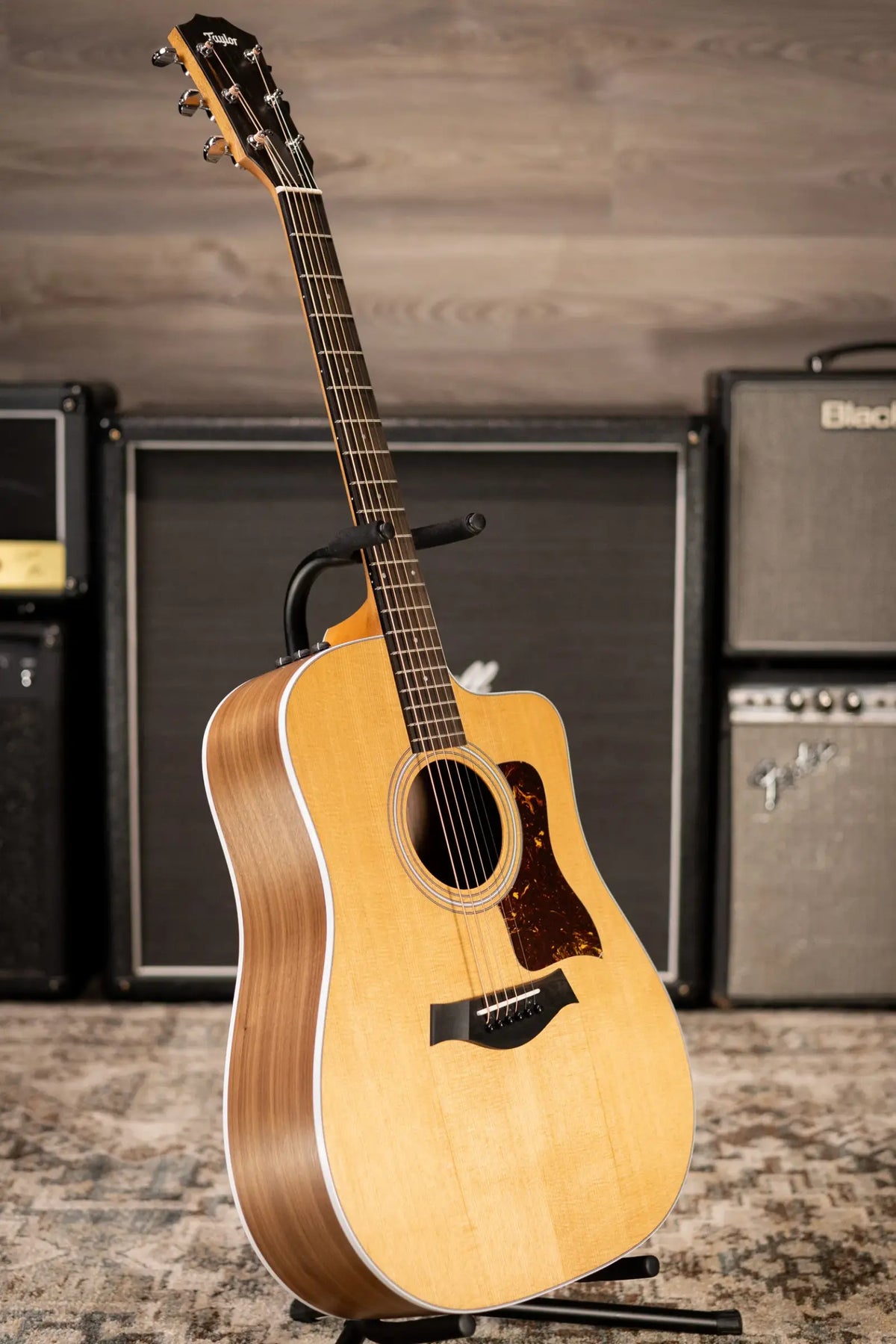 Taylor 210ce Dreadnought Acoustic/Electric Guitar with Gig Bag