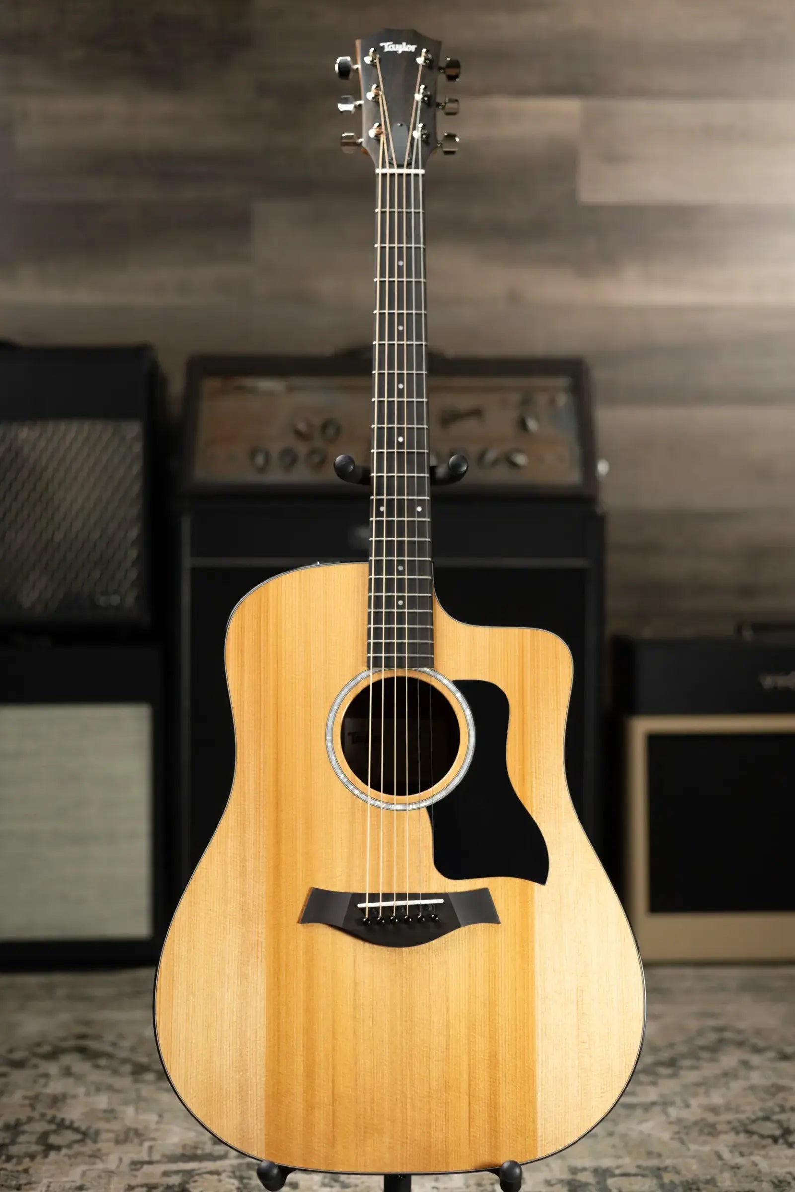 Taylor 210ce Plus Dreadnought Acoustic/Electric Guitar with Aerocase