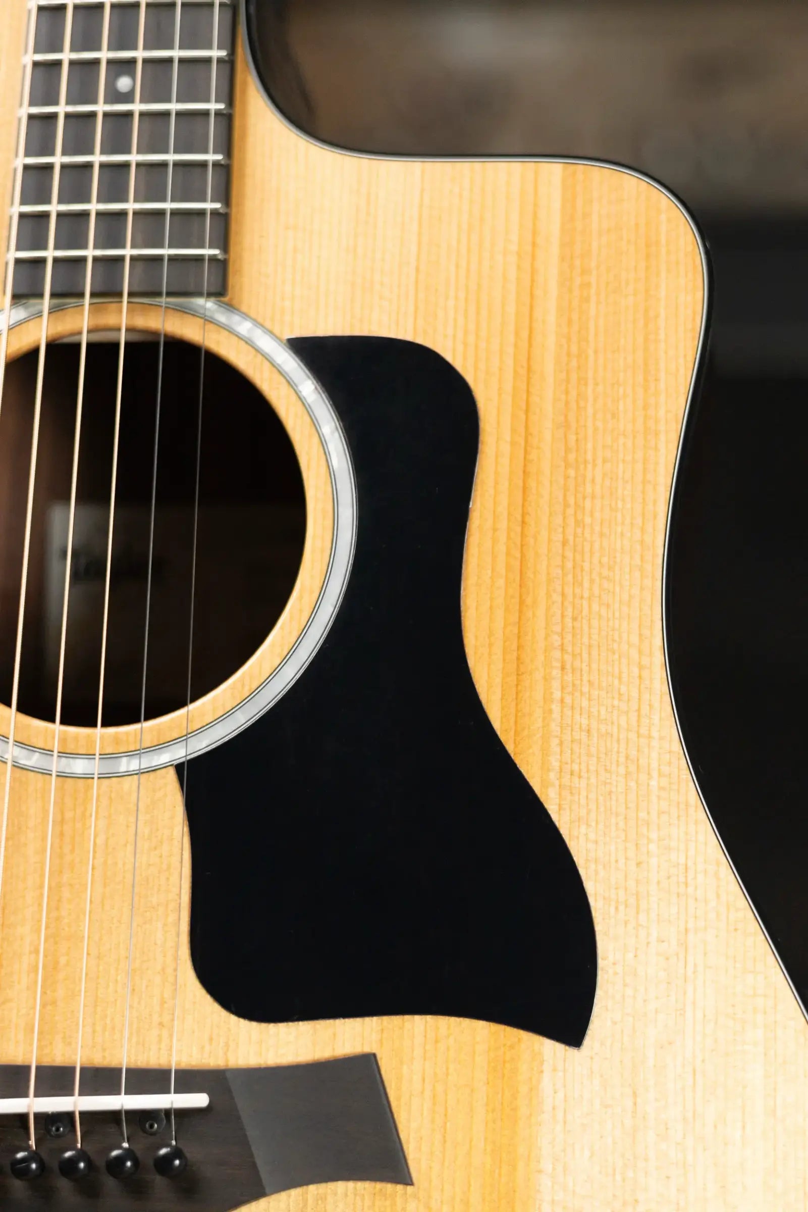 Taylor 210ce Plus Dreadnought Acoustic/Electric Guitar with Aerocase