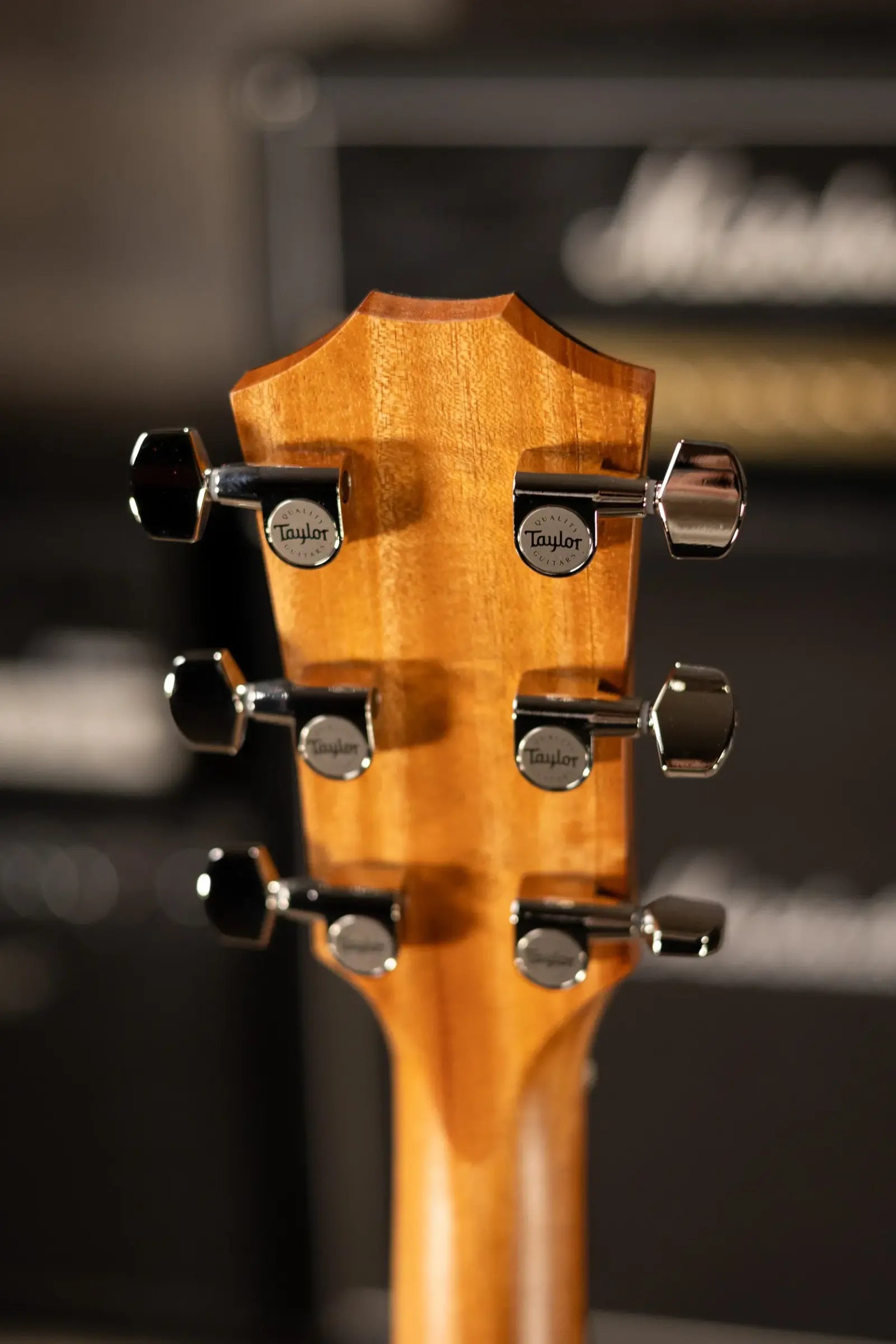 Taylor 210ce Plus Dreadnought Acoustic/Electric Guitar with Aerocase