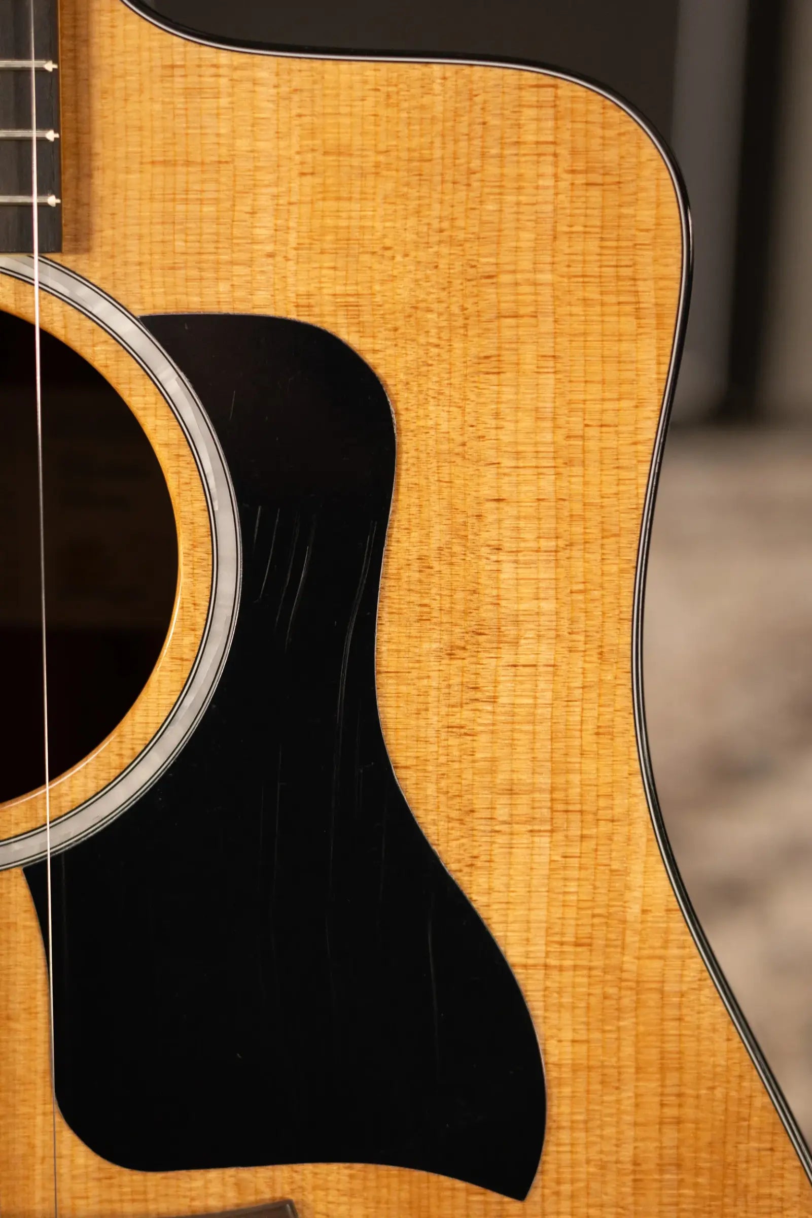 Taylor 210ce Plus Dreadnought Acoustic/Electric Guitar with Aerocase