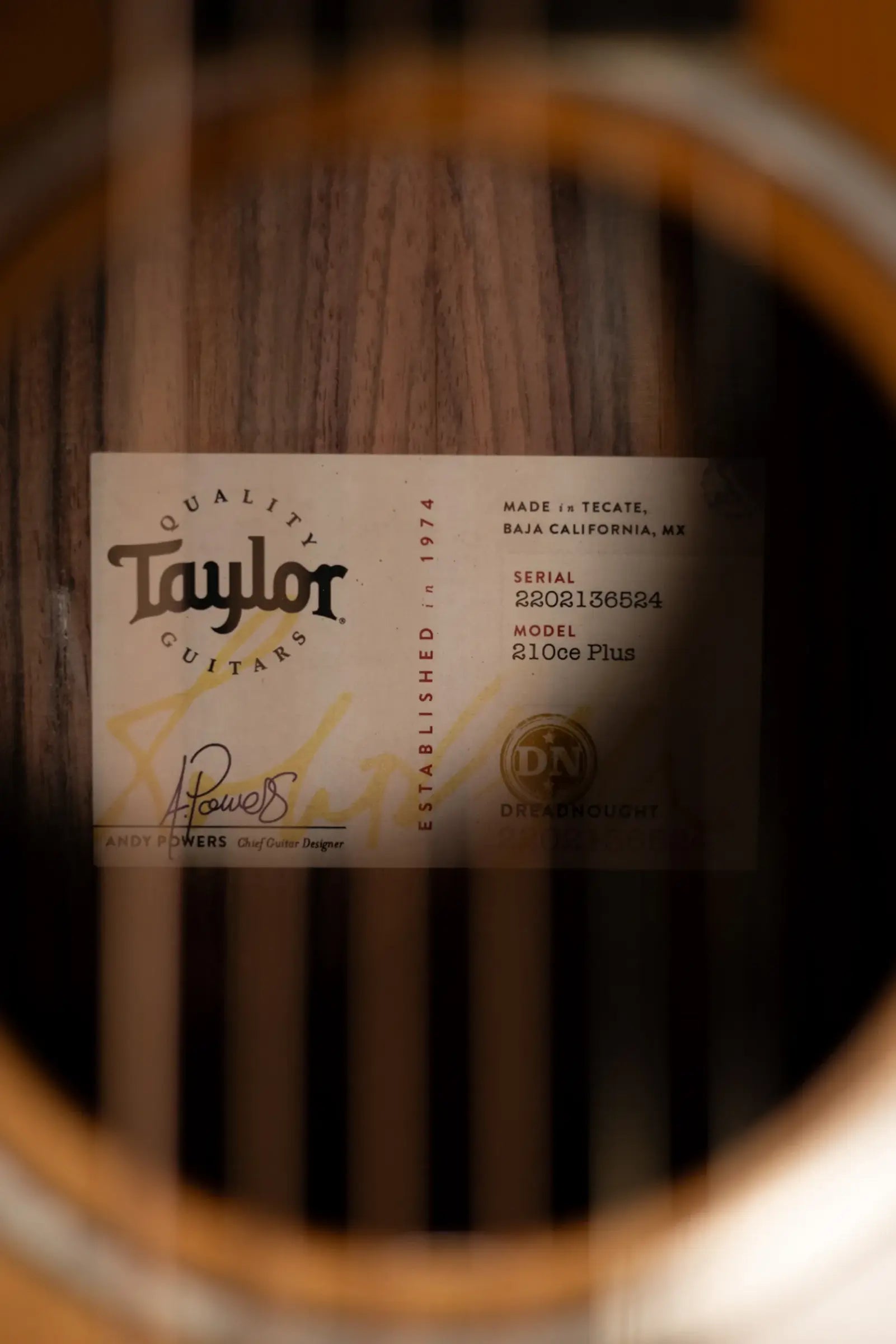 Taylor 210ce Plus Dreadnought Acoustic/Electric Guitar with Aerocase