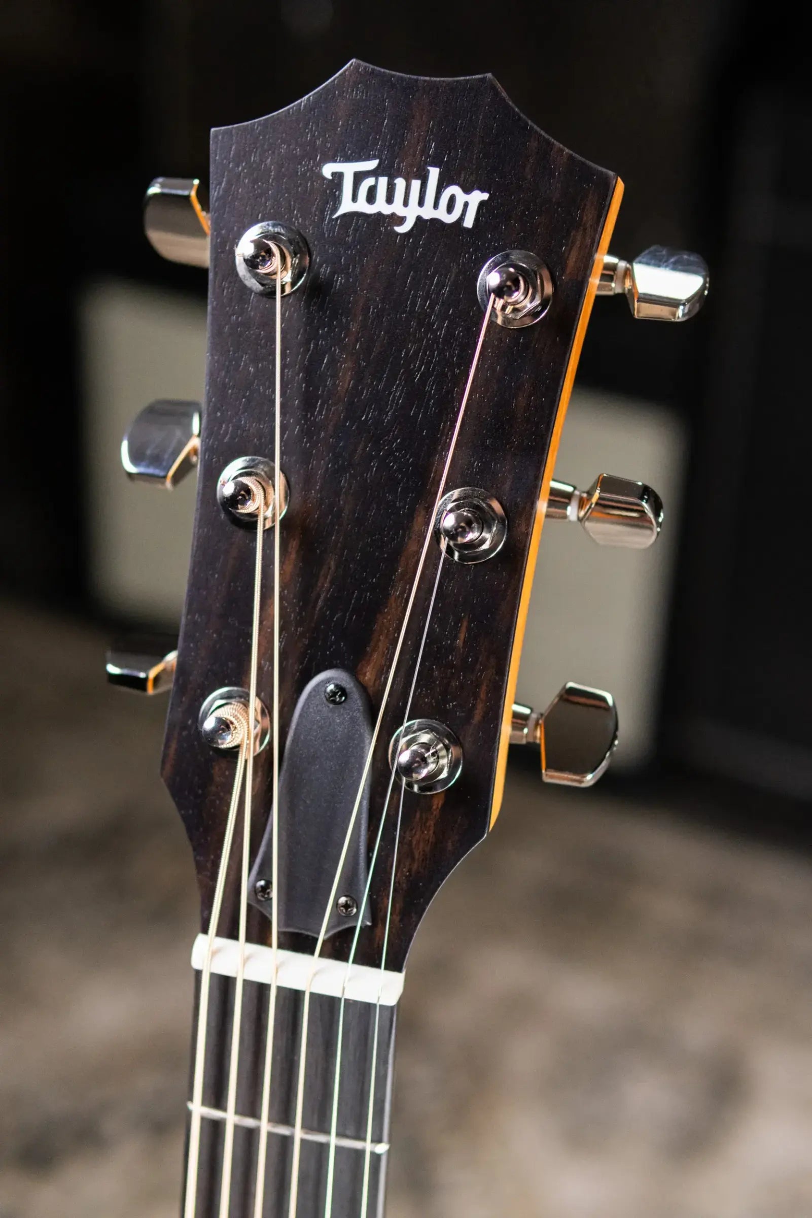 Taylor 212ce Plus Grand Concert Acoustic/Electric Guitar with Aerocase