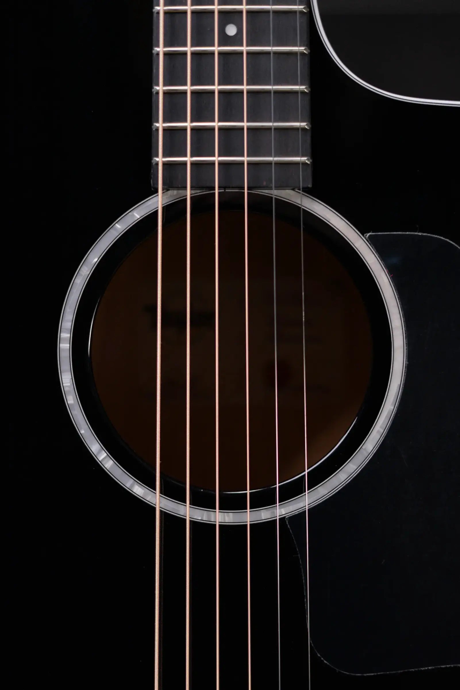 Taylor 214ce-BLK Plus Grand Auditorium Acoustic/Electric Guitar - Black with Aerocase