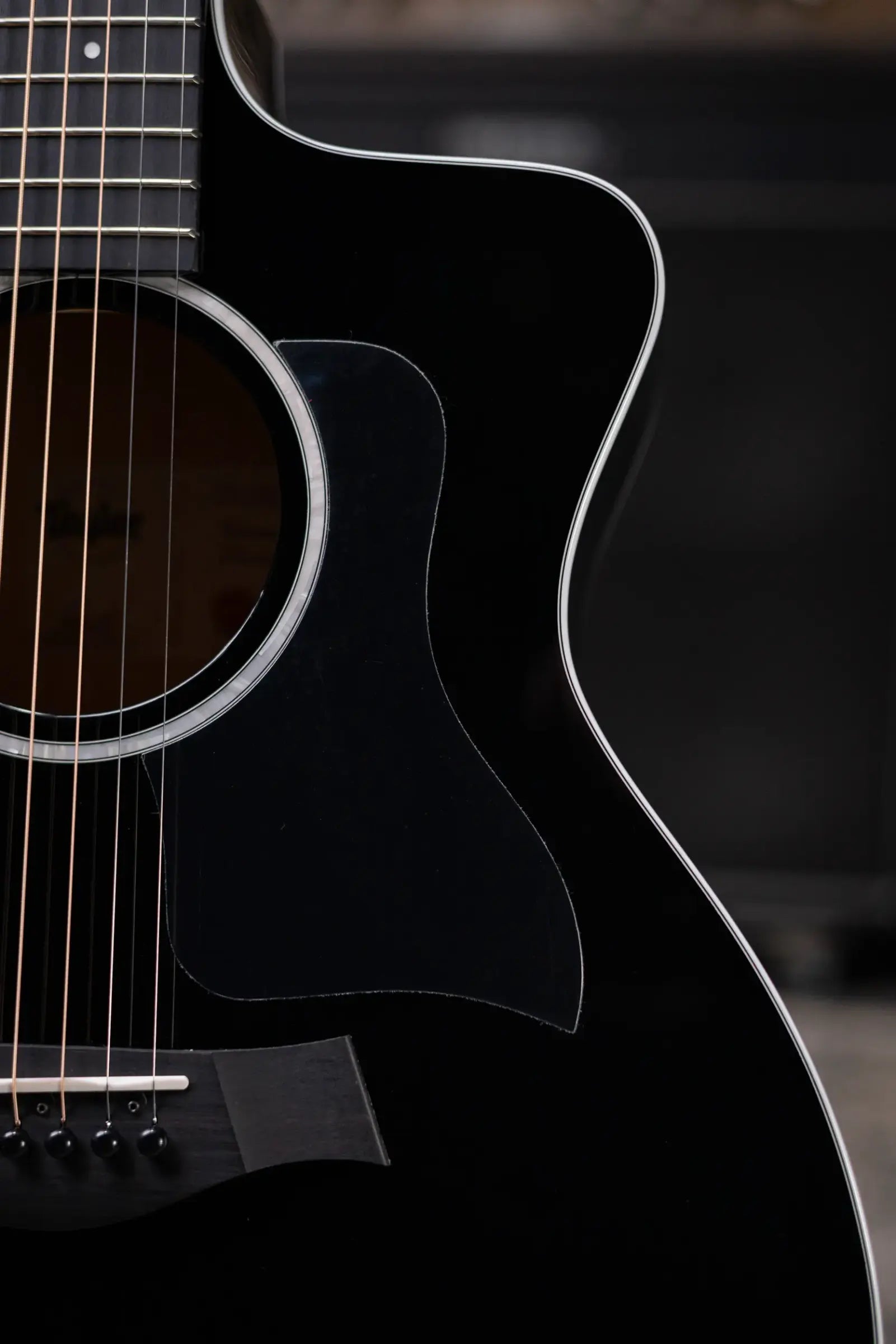 Taylor 214ce-BLK Plus Grand Auditorium Acoustic/Electric Guitar - Black with Aerocase