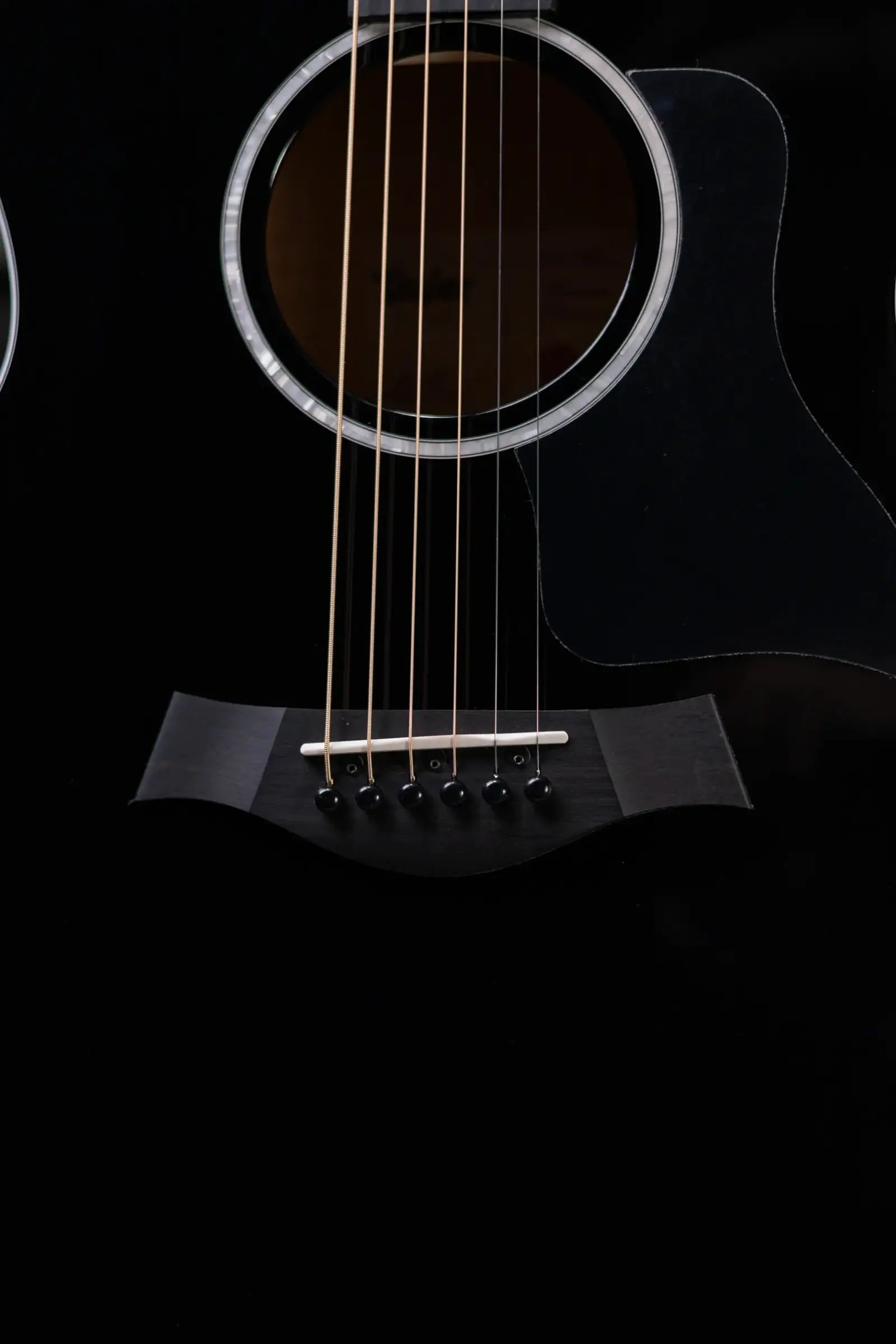 Taylor 214ce-BLK Plus Grand Auditorium Acoustic/Electric Guitar - Black with Aerocase