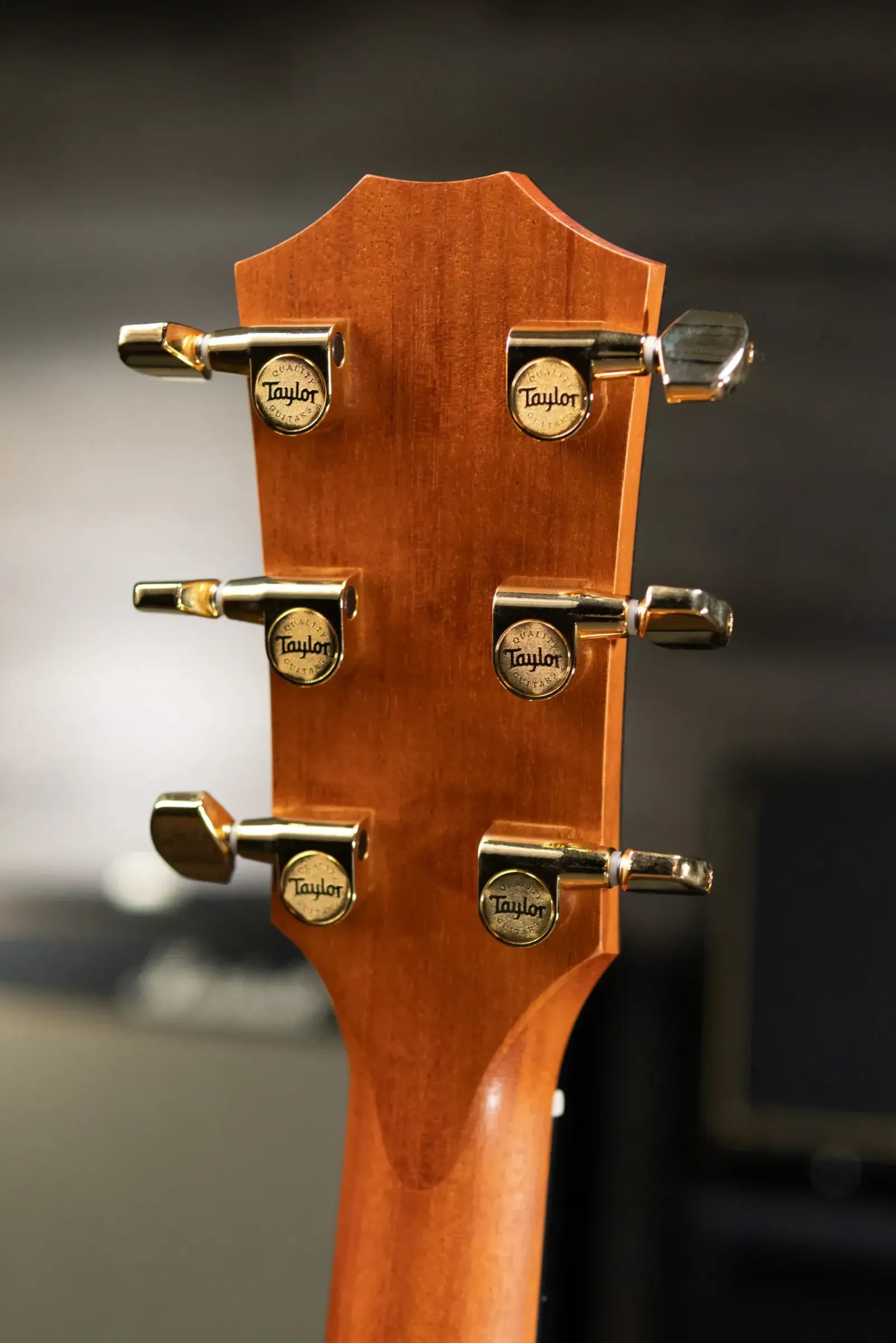 Taylor 214ce DLX Sunset Blvd Grand Auditorium Acoustic/Electric Guitar - Silverburst with Hardshell Case - Prototype