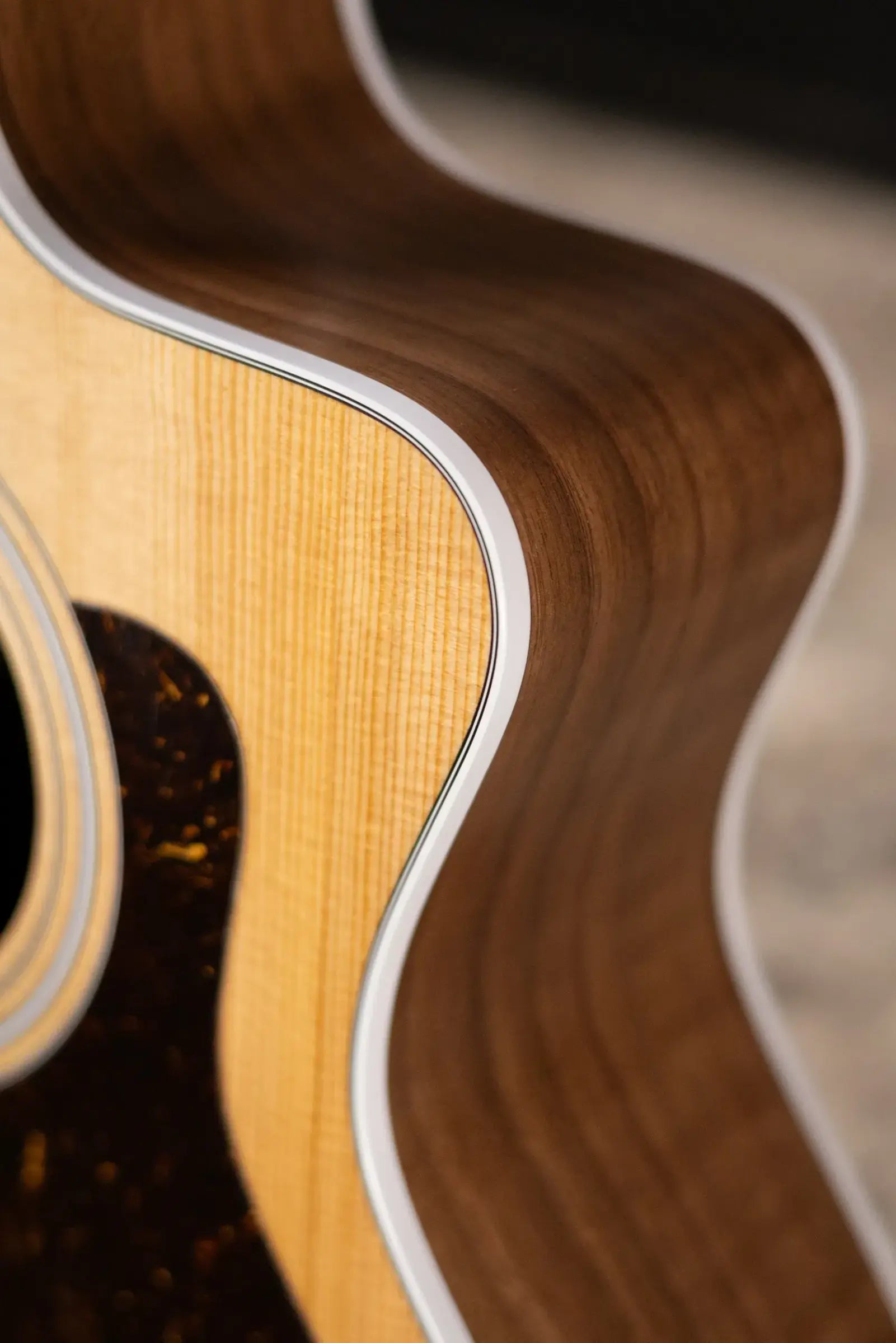 Taylor 214ce Grand Auditorium Acoustic/Electric Guitar with Gig Bag
