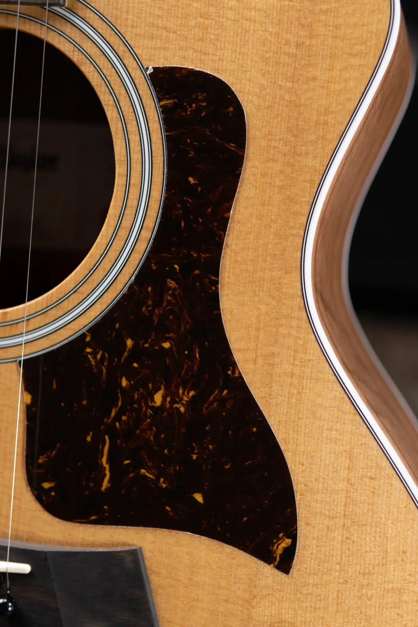 Taylor 214ce Grand Auditorium Acoustic/Electric Guitar with Gig Bag