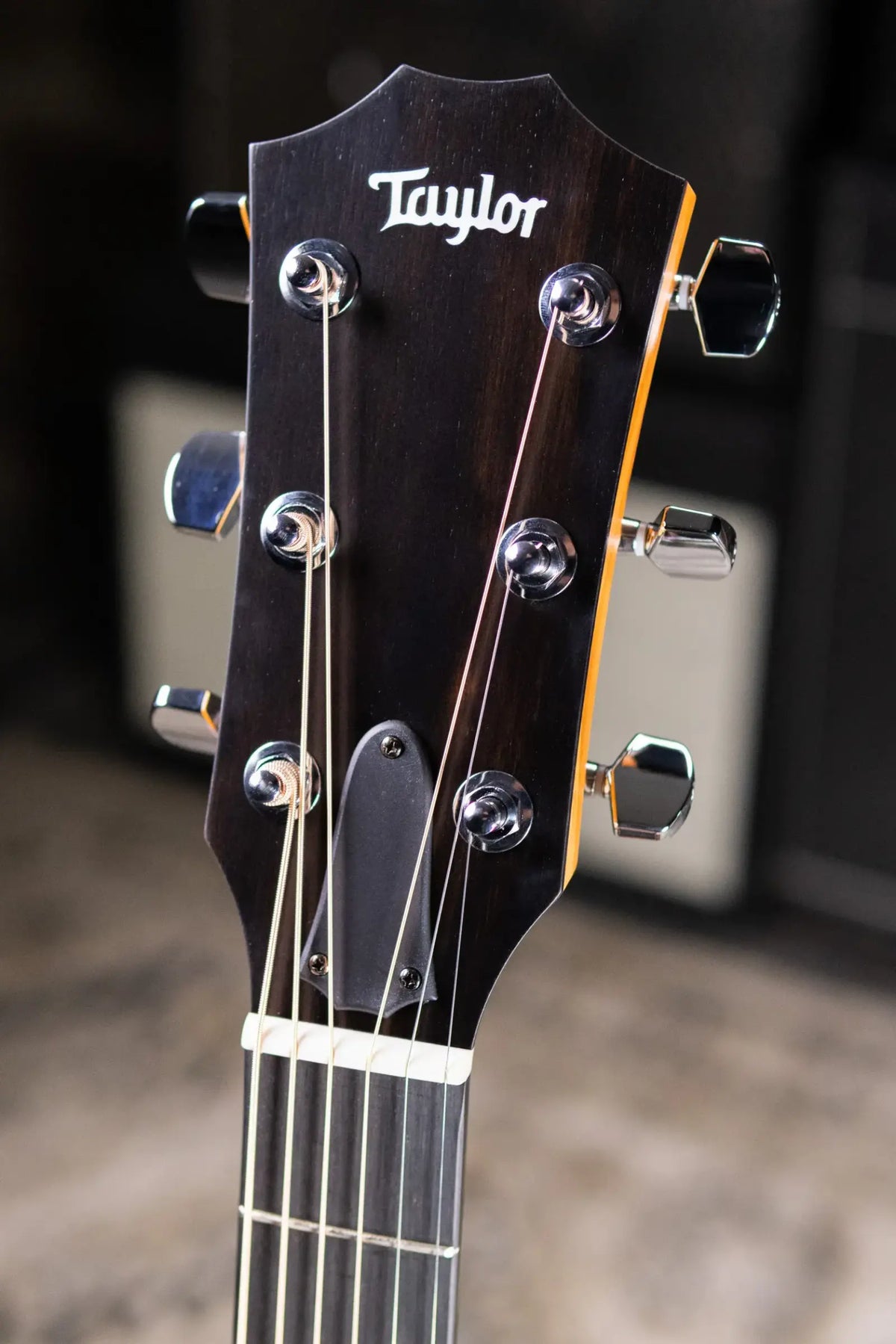 Taylor 214ce Grand Auditorium Acoustic/Electric Guitar with Gig Bag