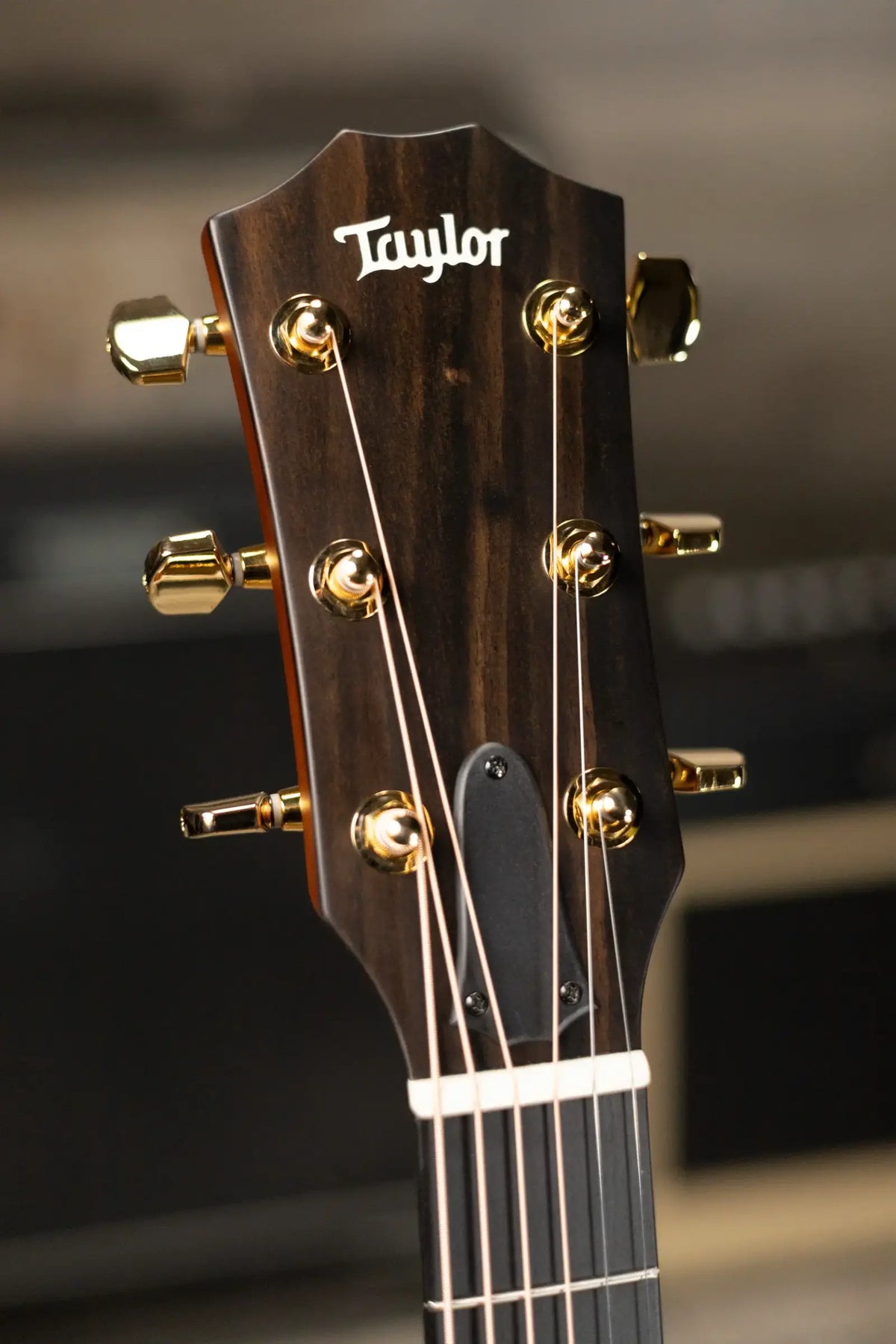Taylor 214ce-K DLX Special Edition Grand Auditorium Acoustic/Electric Guitar - Honeyburst with Hardshell Case