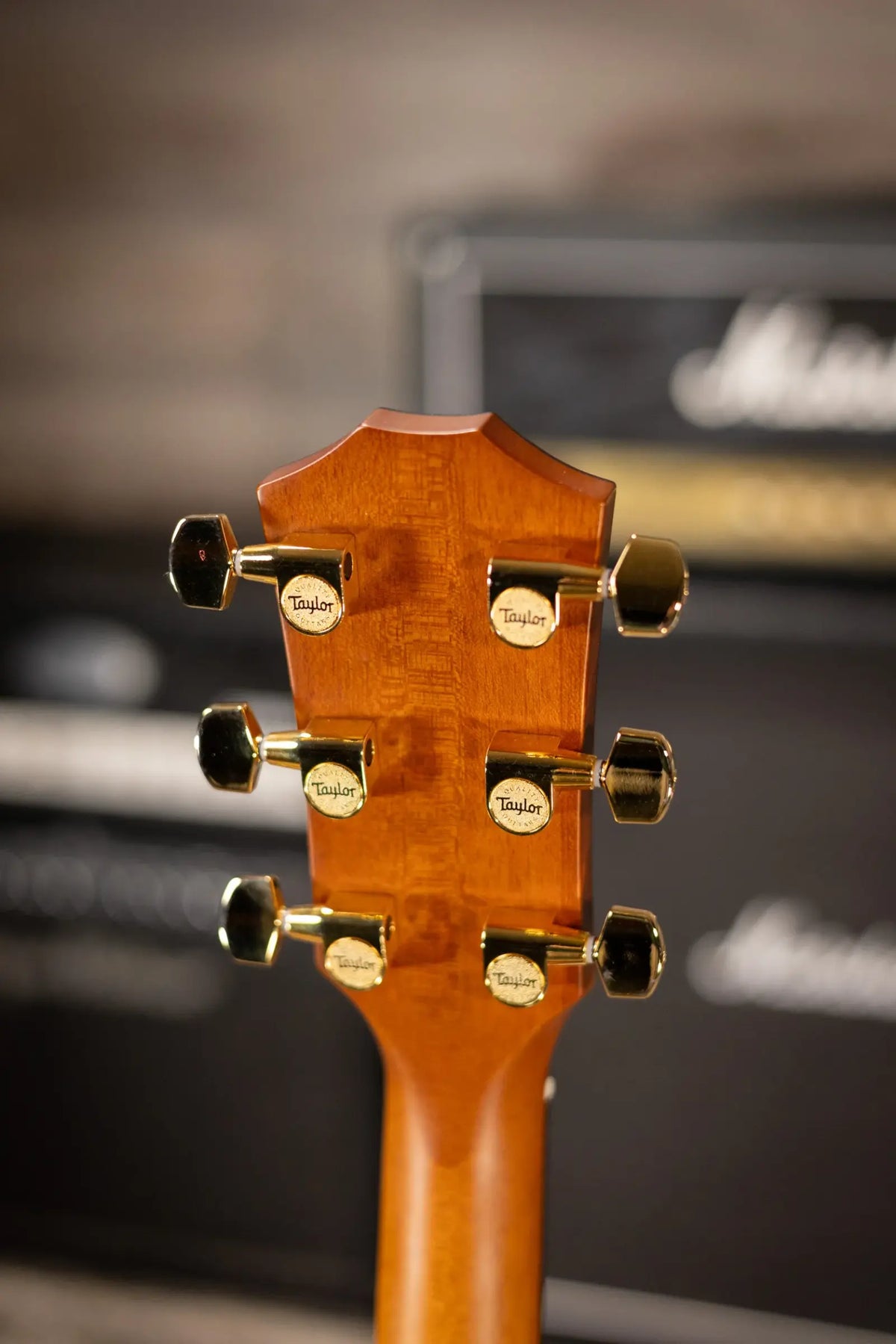 Taylor 214ce-K DLX Special Edition Grand Auditorium Acoustic/Electric Guitar - Honeyburst with Hardshell Case - Demo