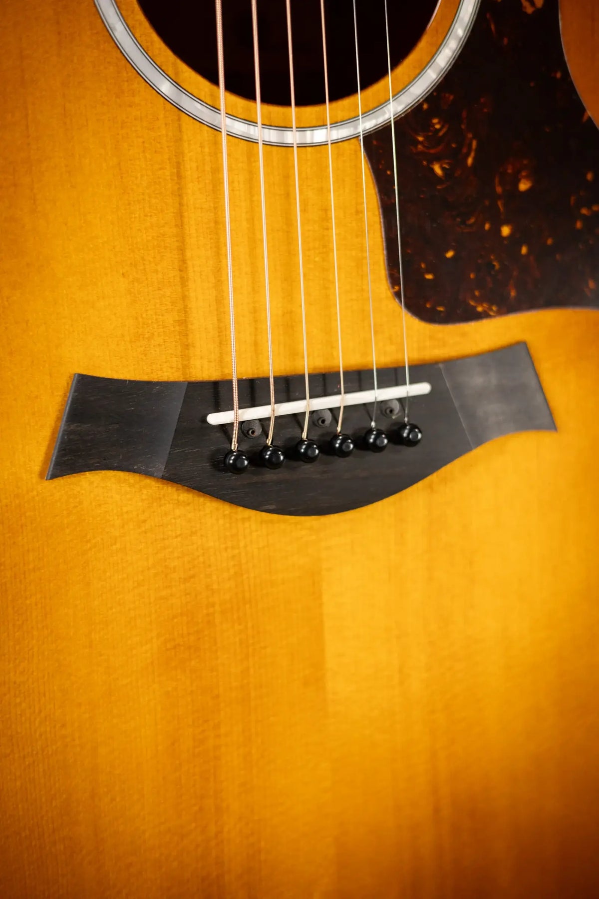 Taylor 214ce-K DLX Special Edition Grand Auditorium Acoustic/Electric Guitar - Honeyburst with Hardshell Case - Demo