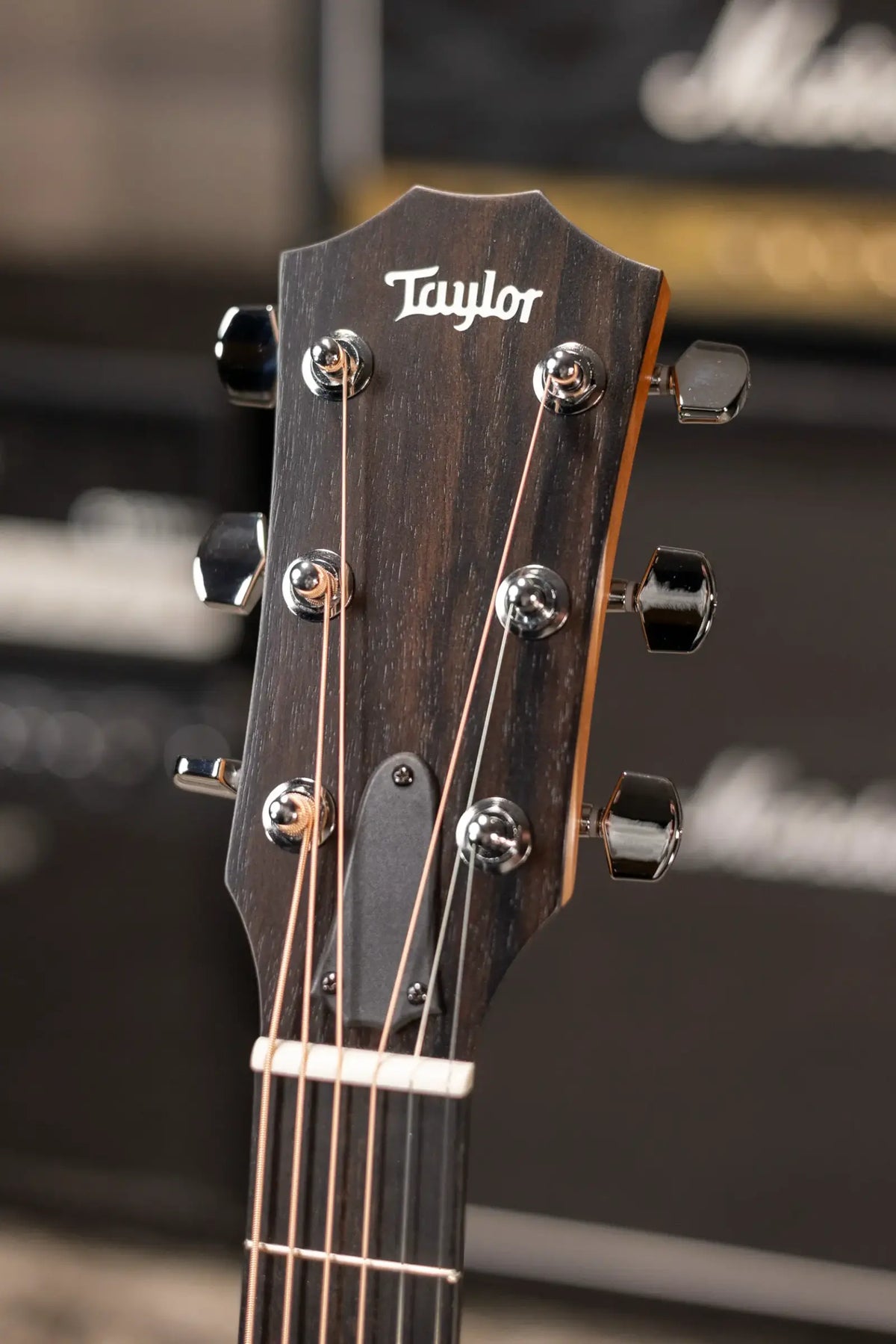 Taylor 214ce-K Grand Auditorium Acoustic/Electric Guitar with Gig Bag