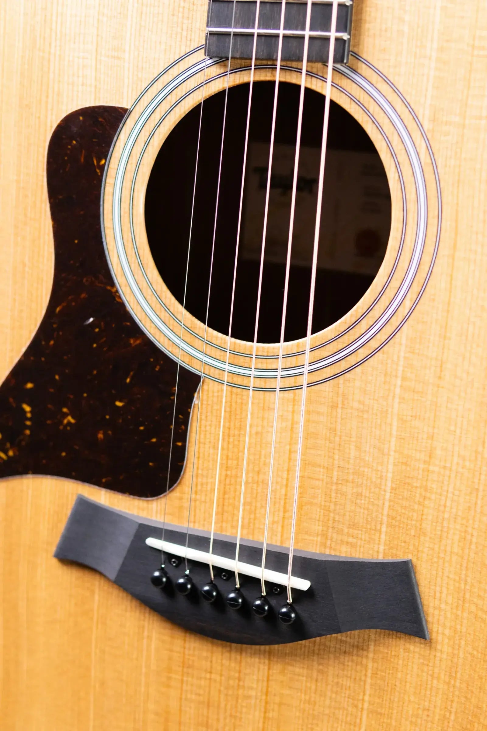 Taylor 214ce Left-Hand Grand Auditorium Acoustic/Electric Guitar with Gig Bag