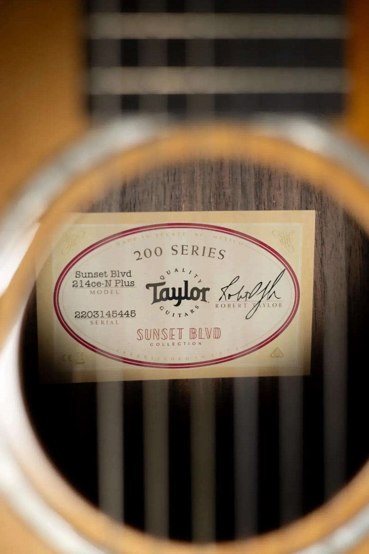 Taylor 214ce-N Plus Sunset Blvd Nylon Grand Auditorium Acoustic/Electric Guitar - Shaded Edge Burst with Aerocase