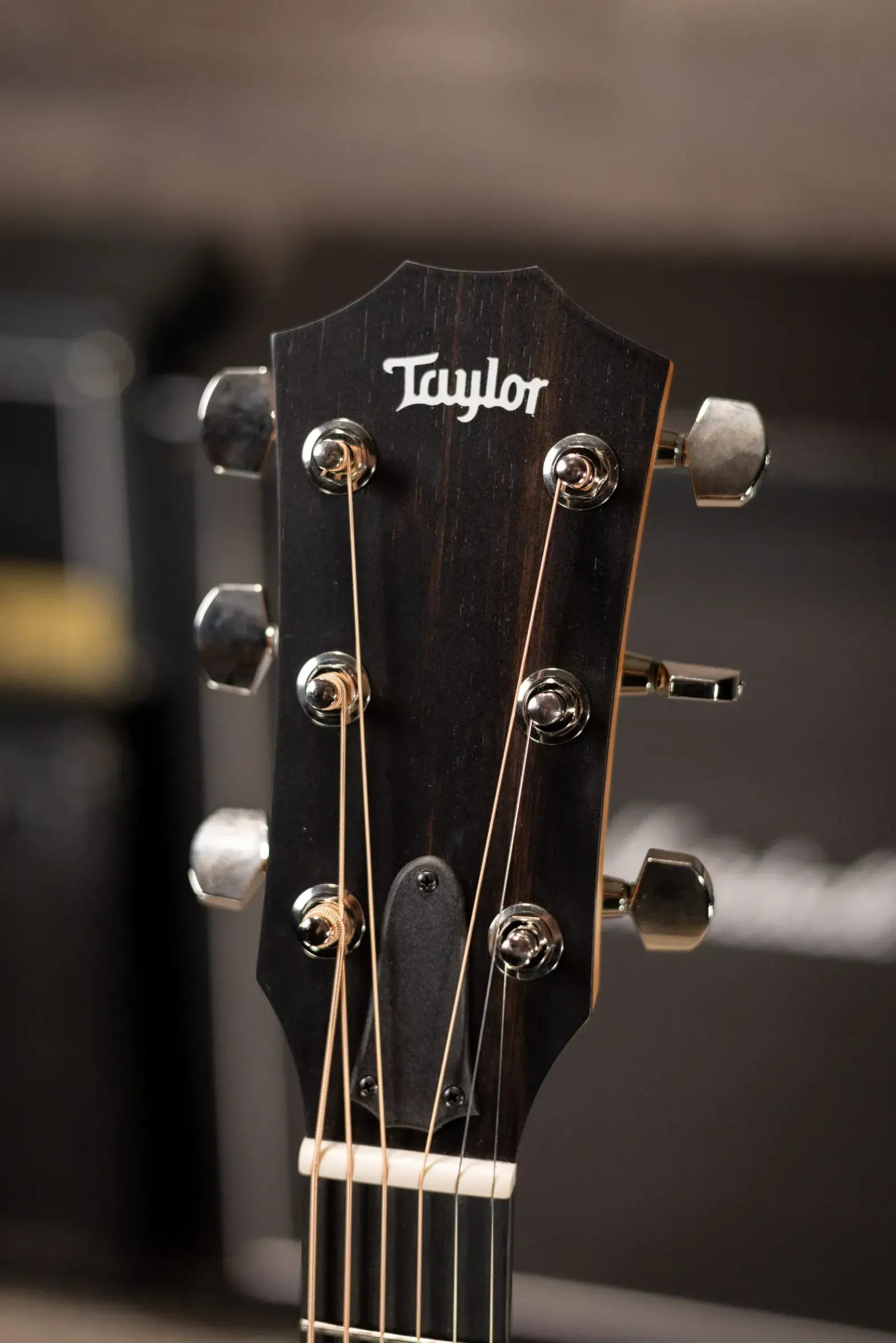 Taylor 214ce Plus Grand Auditorium Acoustic/Electric Guitar with Gig Bag
