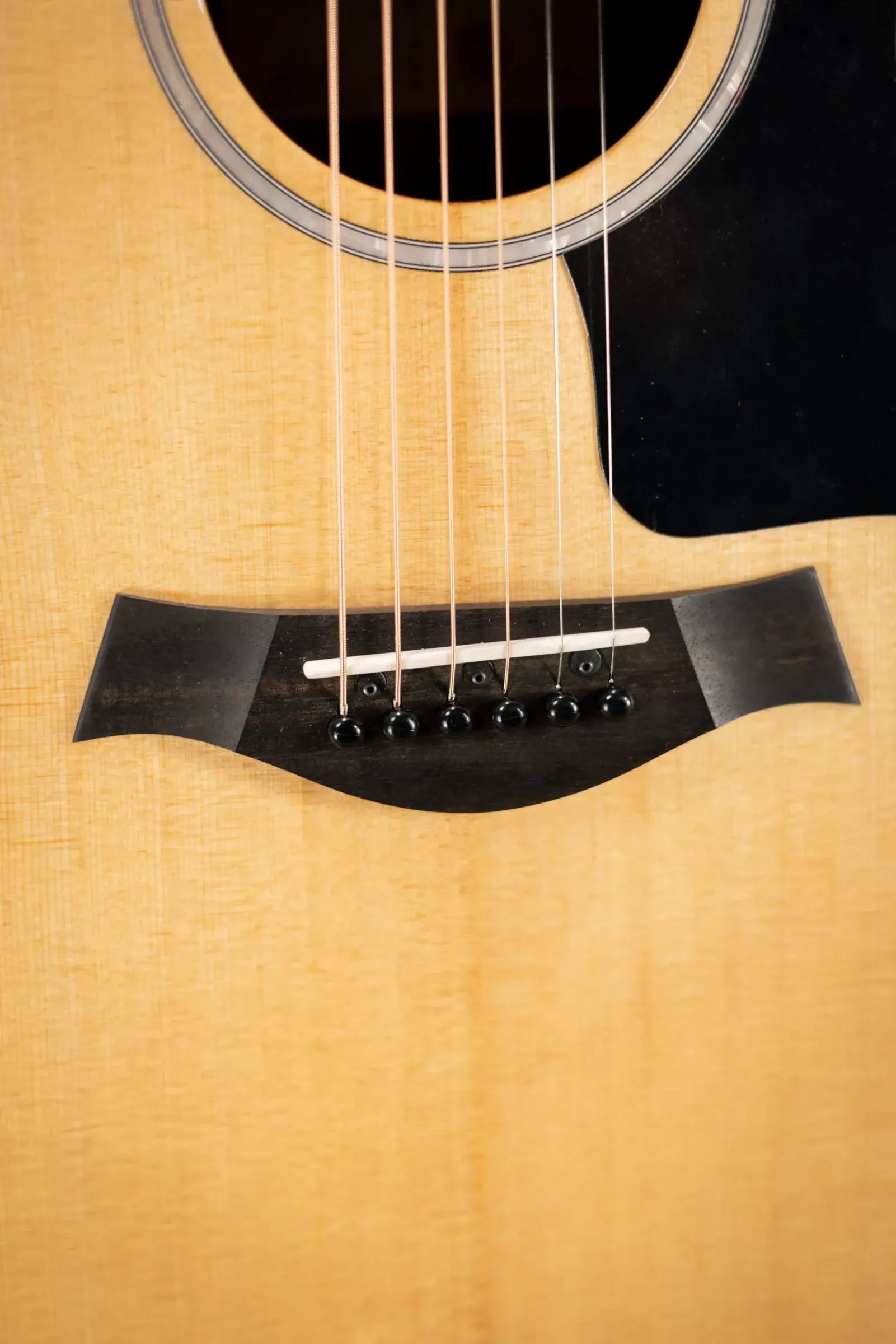 Taylor 214ce Plus Grand Auditorium Acoustic/Electric Guitar with Gig Bag