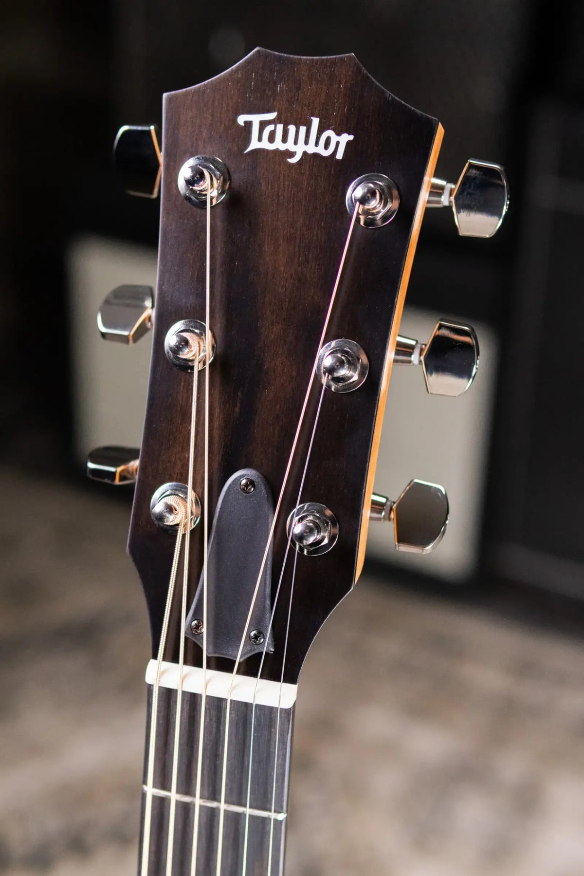 Taylor 214ce Plus Grand Auditorium Acoustic/Electric Guitar with Aerocase