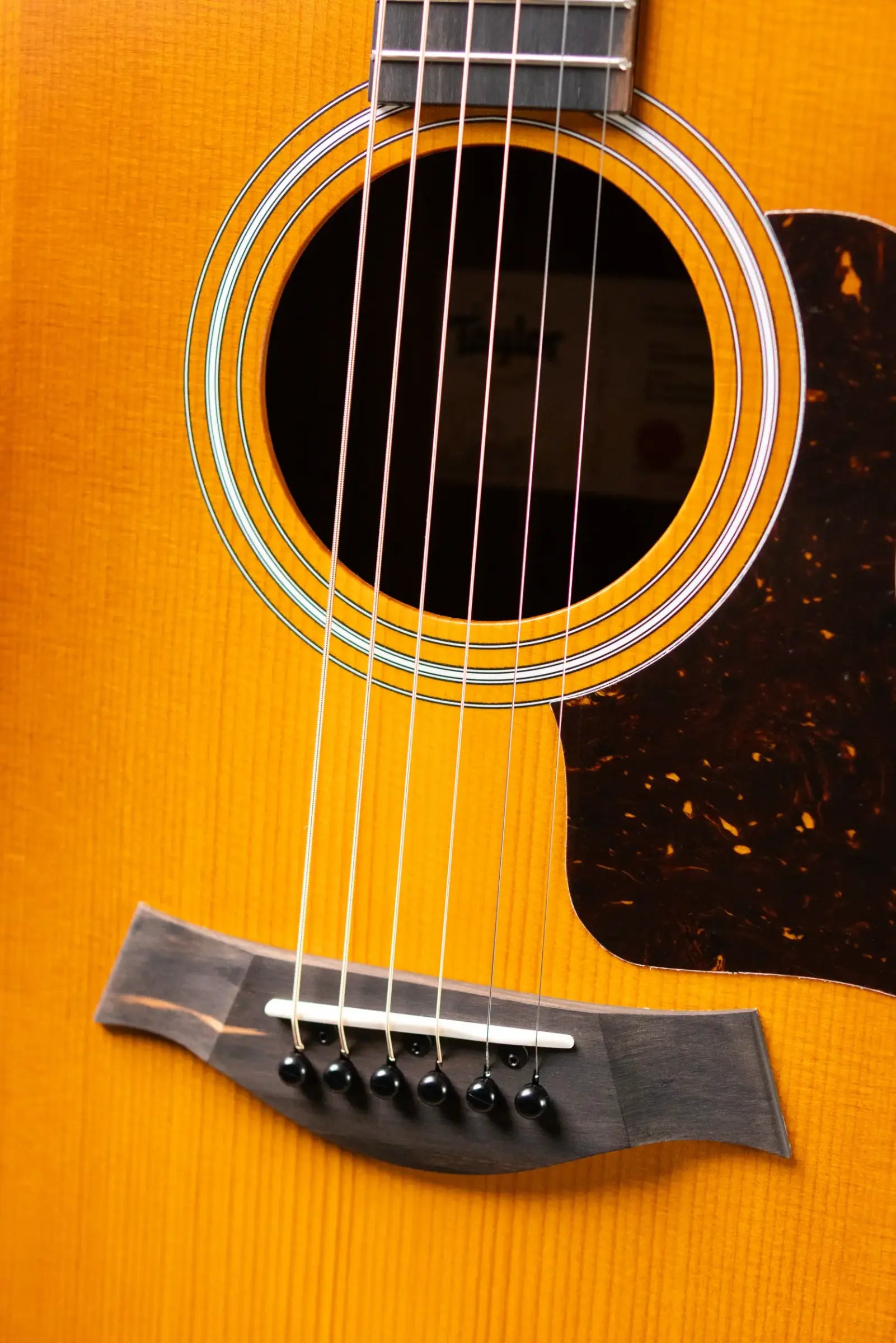 Taylor 214ce Special Edition Grand Auditorium Acoustic/Electric Guitar - Honeyburst with Gig Bag