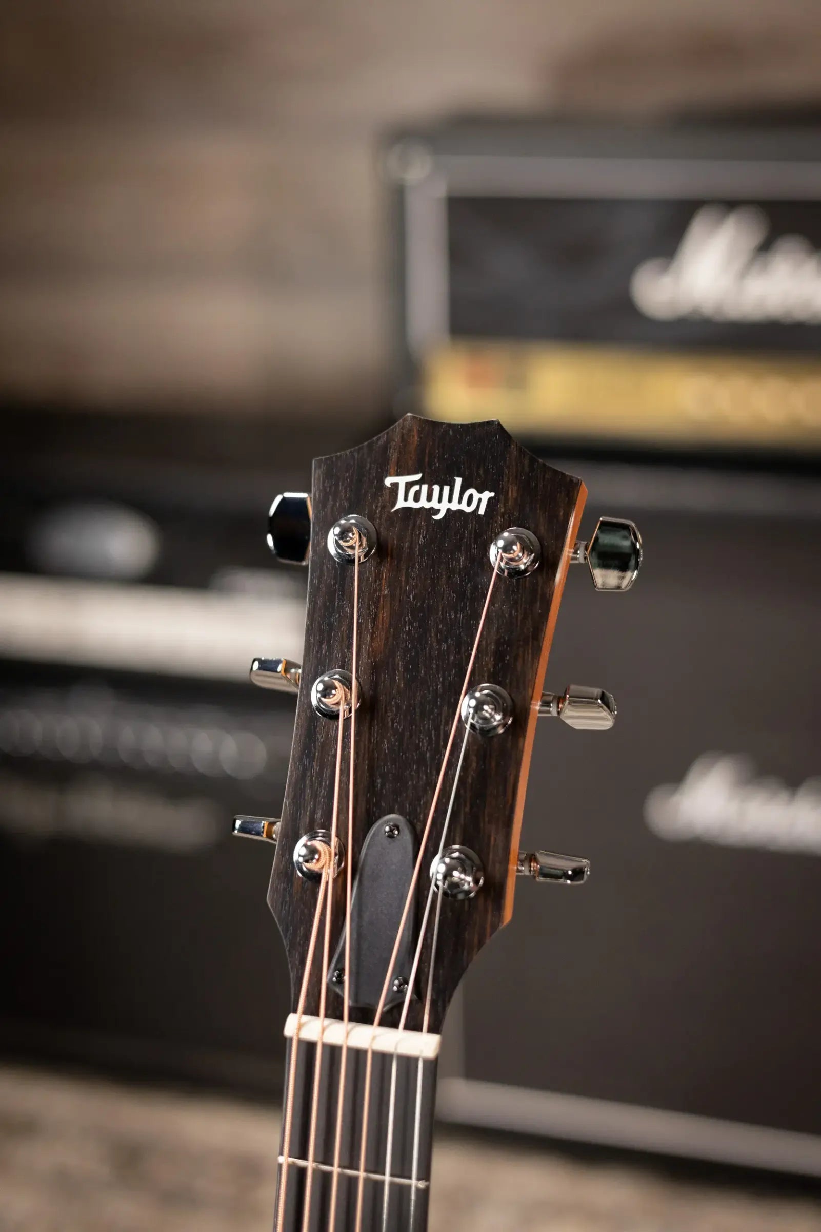 Taylor 214ce Special Edition Grand Auditorium Acoustic/Electric Guitar - Honeyburst with Gig Bag