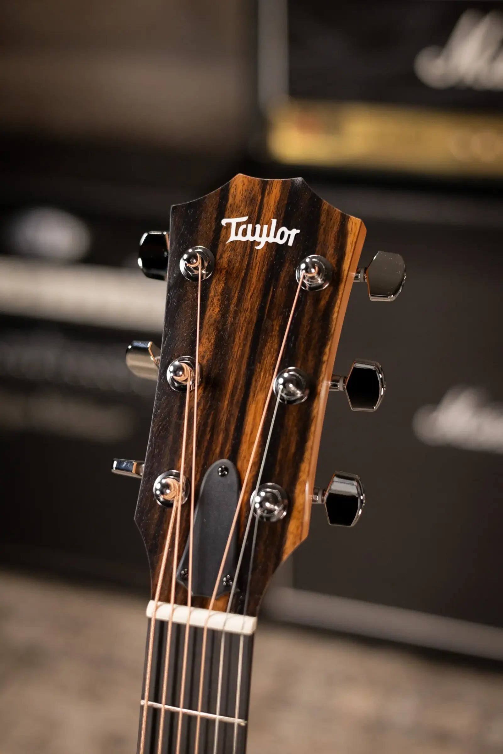 Taylor 214ce Special Edition Grand Auditorium Acoustic/Electric Guitar - Honeyburst with Gig Bag