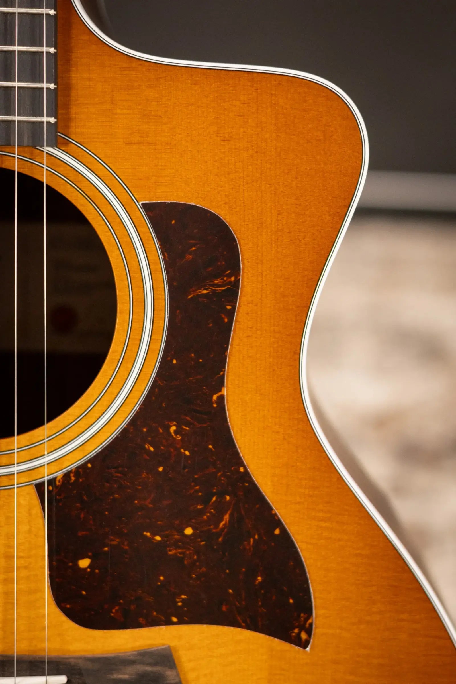 Taylor 214ce Special Edition Grand Auditorium Acoustic/Electric Guitar - Honeyburst with Gig Bag