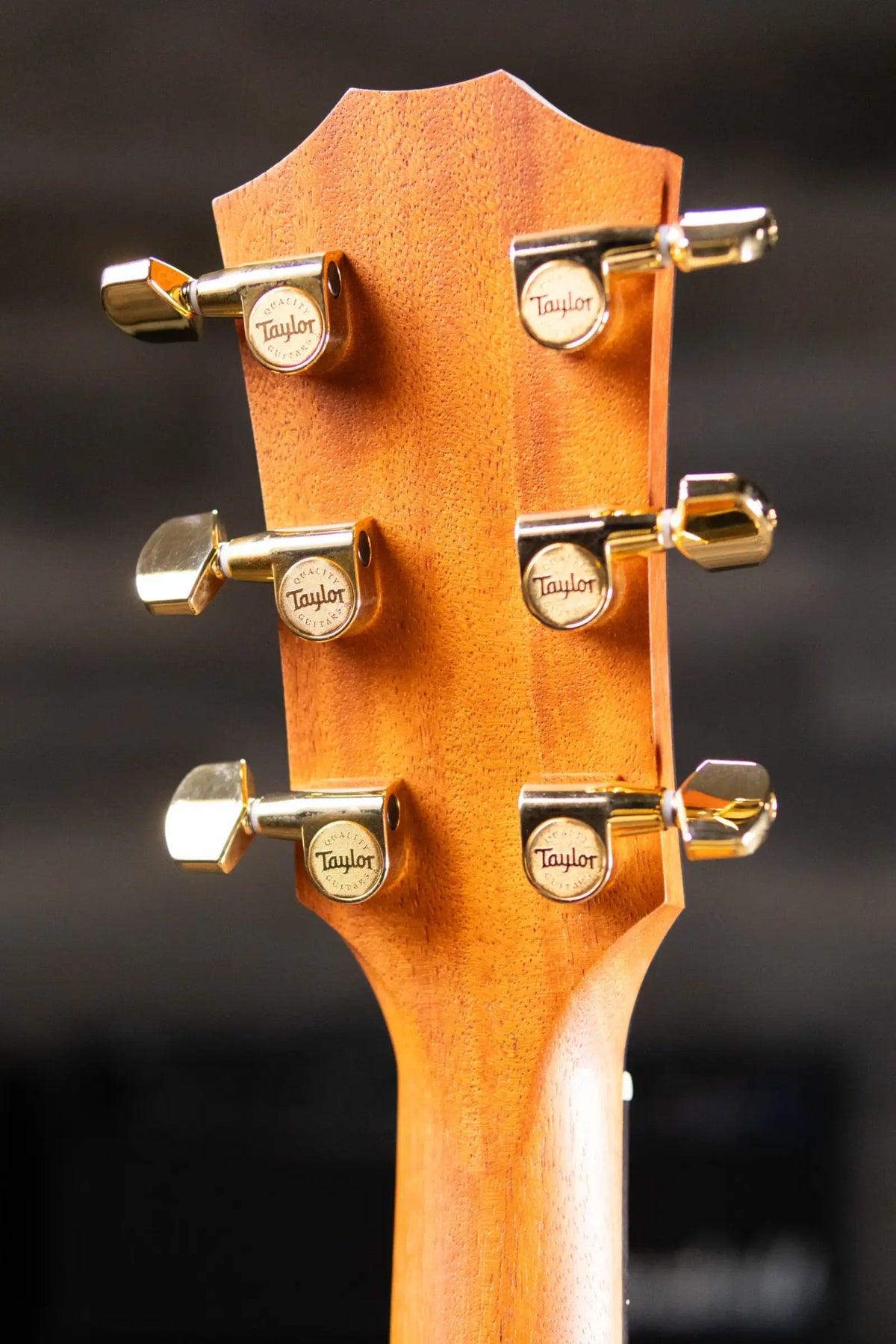 Taylor 214ce Sunset Blvd Grand Auditorium Acoustic/Electric Guitar - Sepia Burst with Gig Bag - Prototype