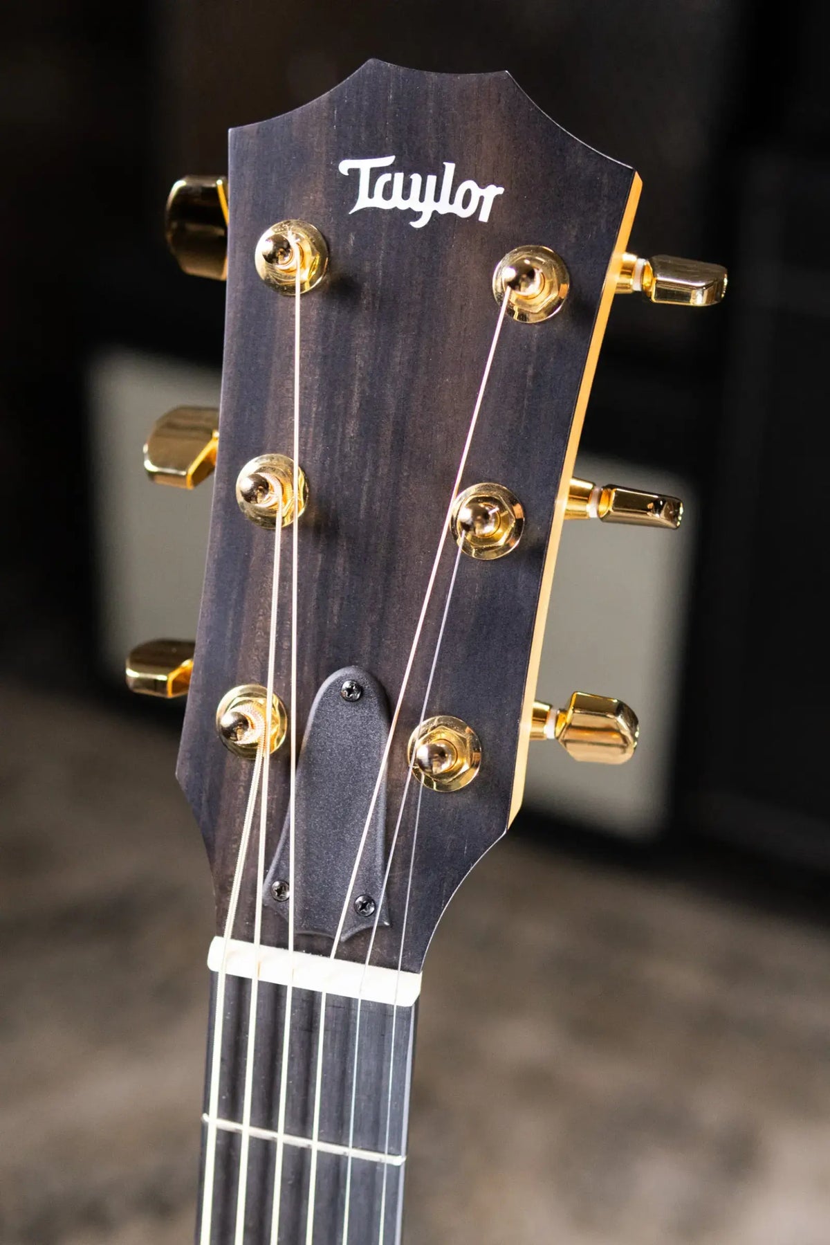 Taylor 214ce Sunset Blvd Grand Auditorium Acoustic/Electric Guitar - Sepia Burst with Gig Bag - Prototype