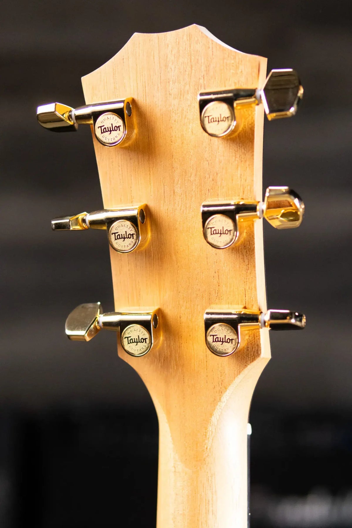 Taylor 214ce Sunset Blvd Grand Auditorium Acoustic/Electric Guitar - Sepia Burst with Gig Bag - Prototype