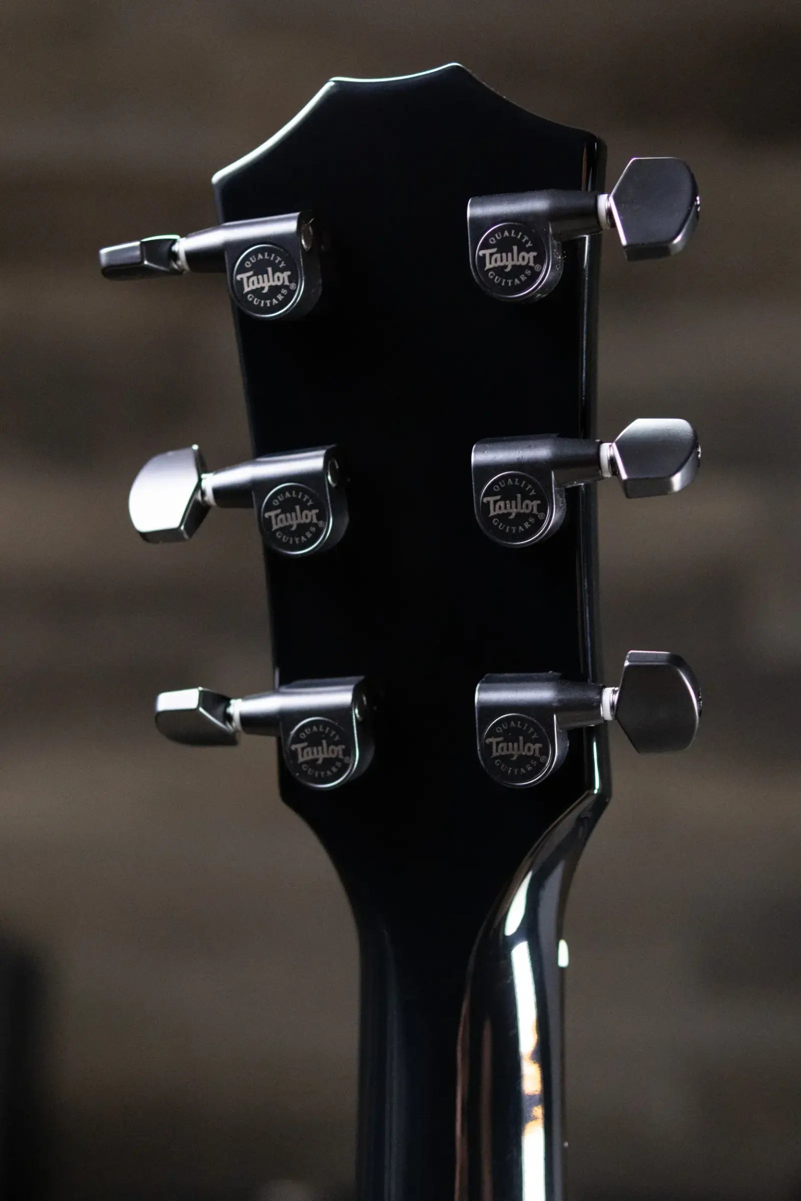 Taylor 217e-BLK Plus Grand Pacific Acoustic/Electric Guitar - Black with Aerocase