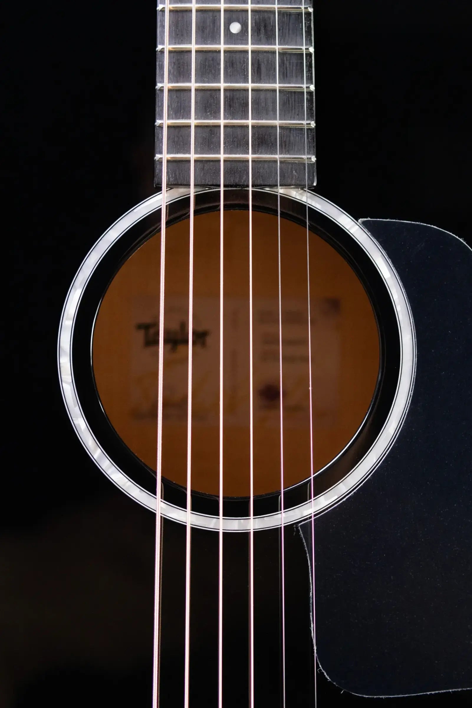 Taylor 217e-BLK Plus Grand Pacific Acoustic/Electric Guitar - Black with Aerocase