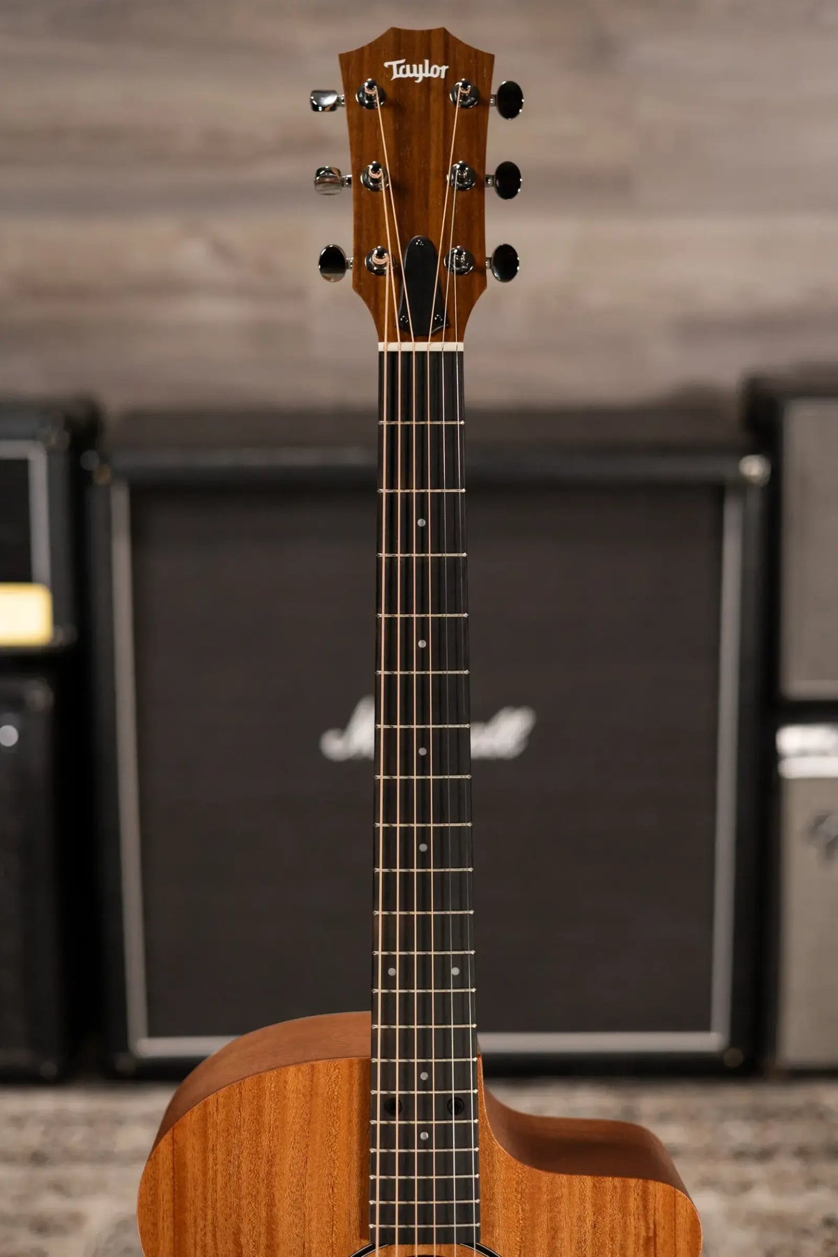 Taylor 24ce Grand Auditorium Acoustic/Electric Guitar with Gig Bag