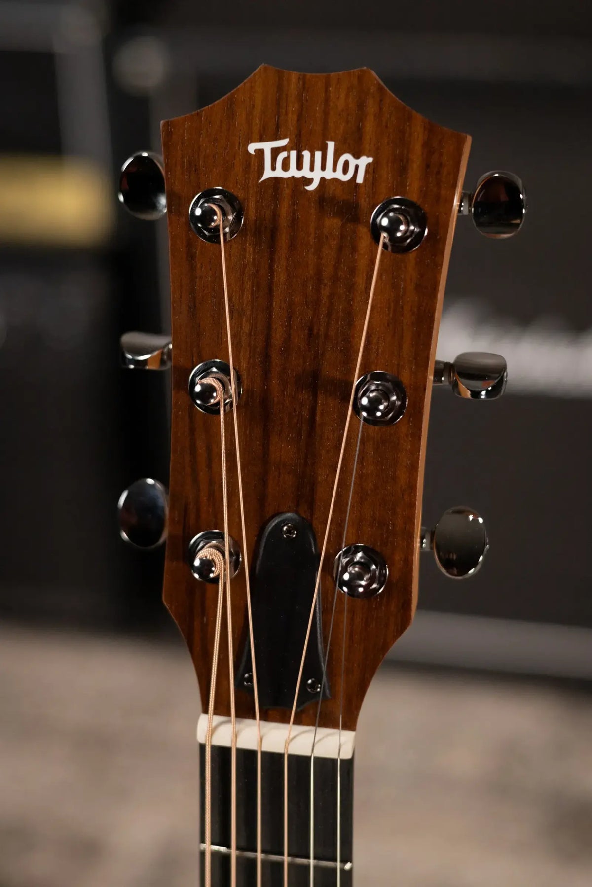 Taylor 24ce Grand Auditorium Acoustic/Electric Guitar with Gig Bag