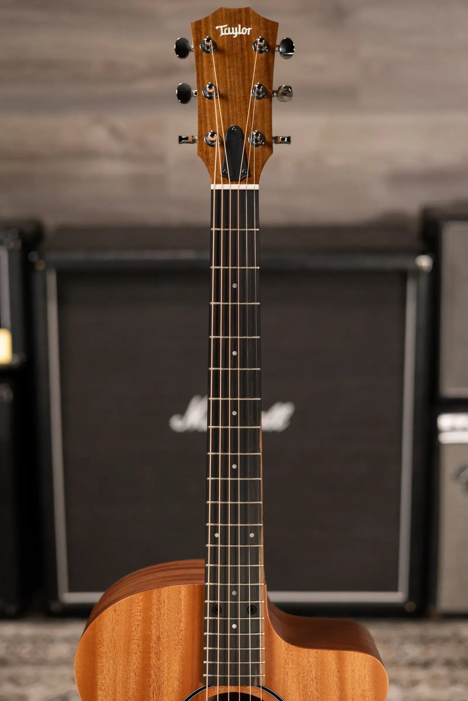 Taylor 24ce Grand Auditorium Acoustic-Electric Guitar with Gig Bag