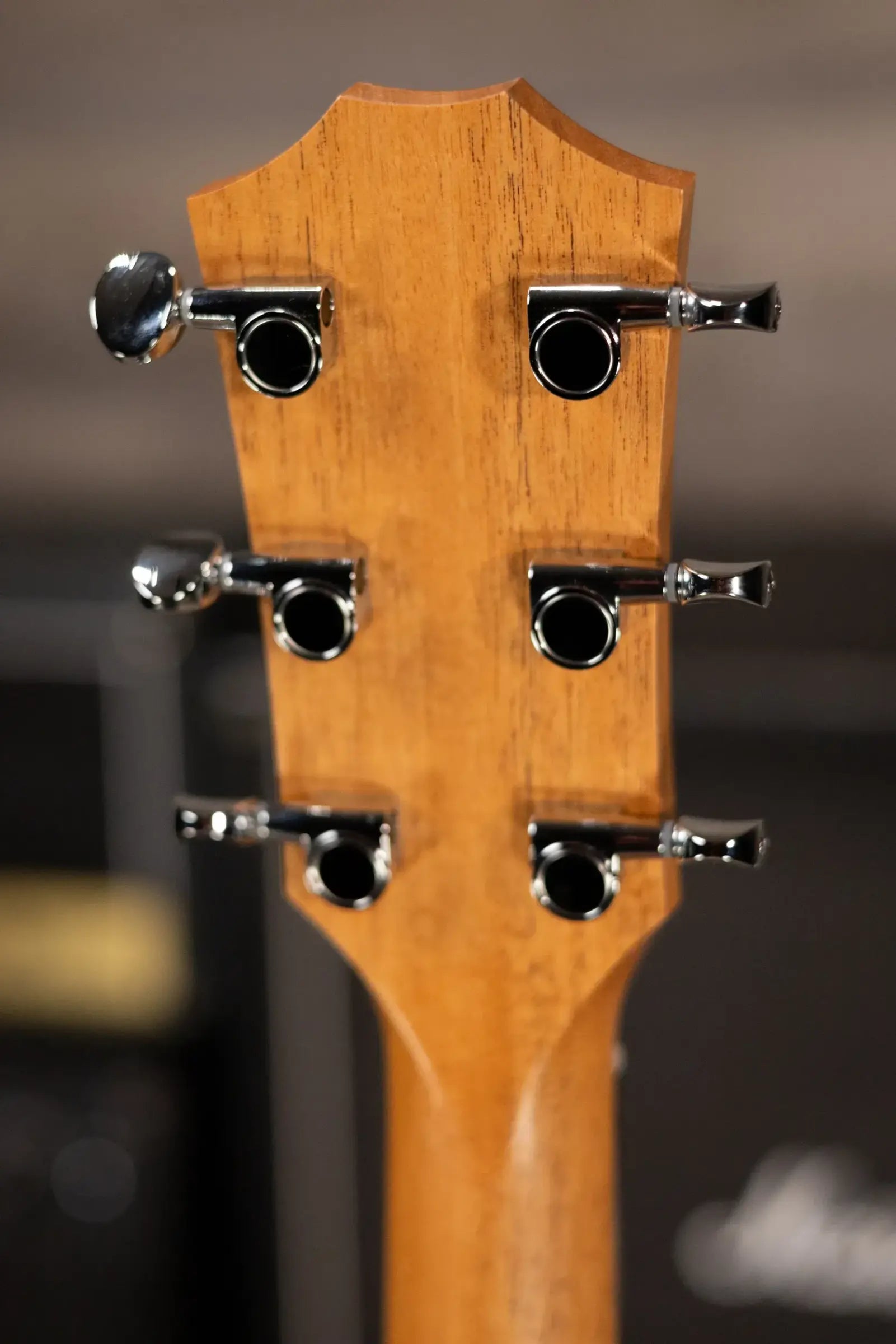 Taylor 24ce Grand Auditorium Acoustic-Electric Guitar with Gig Bag