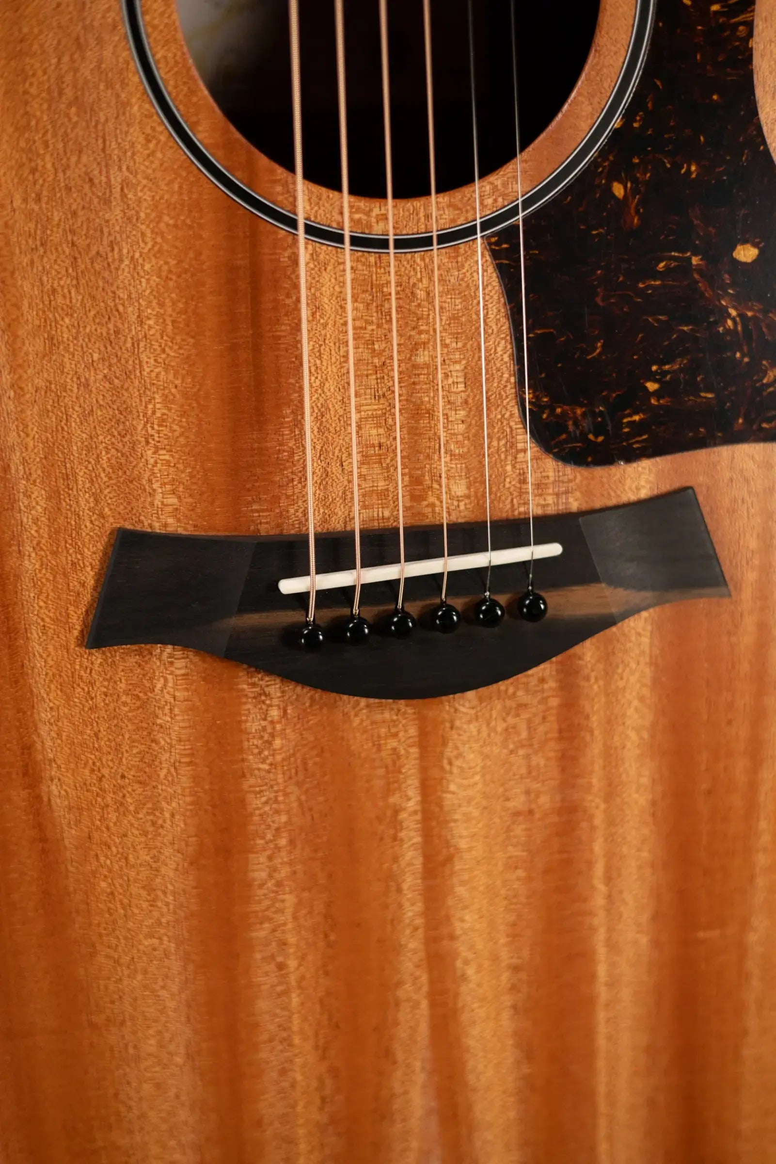 Taylor 24ce Grand Auditorium Acoustic-Electric Guitar with Gig Bag