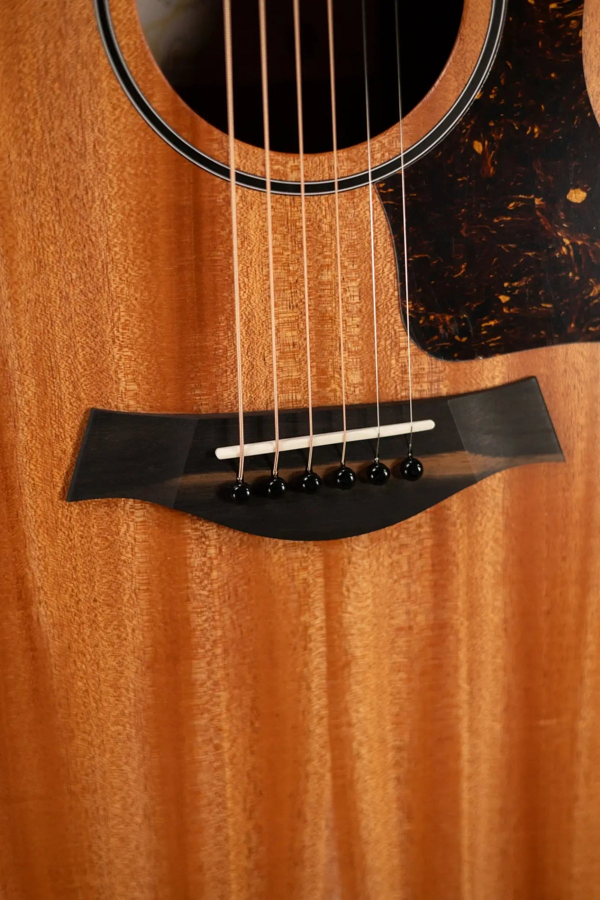 Taylor 24ce Grand Auditorium Acoustic-Electric Guitar with Gig Bag