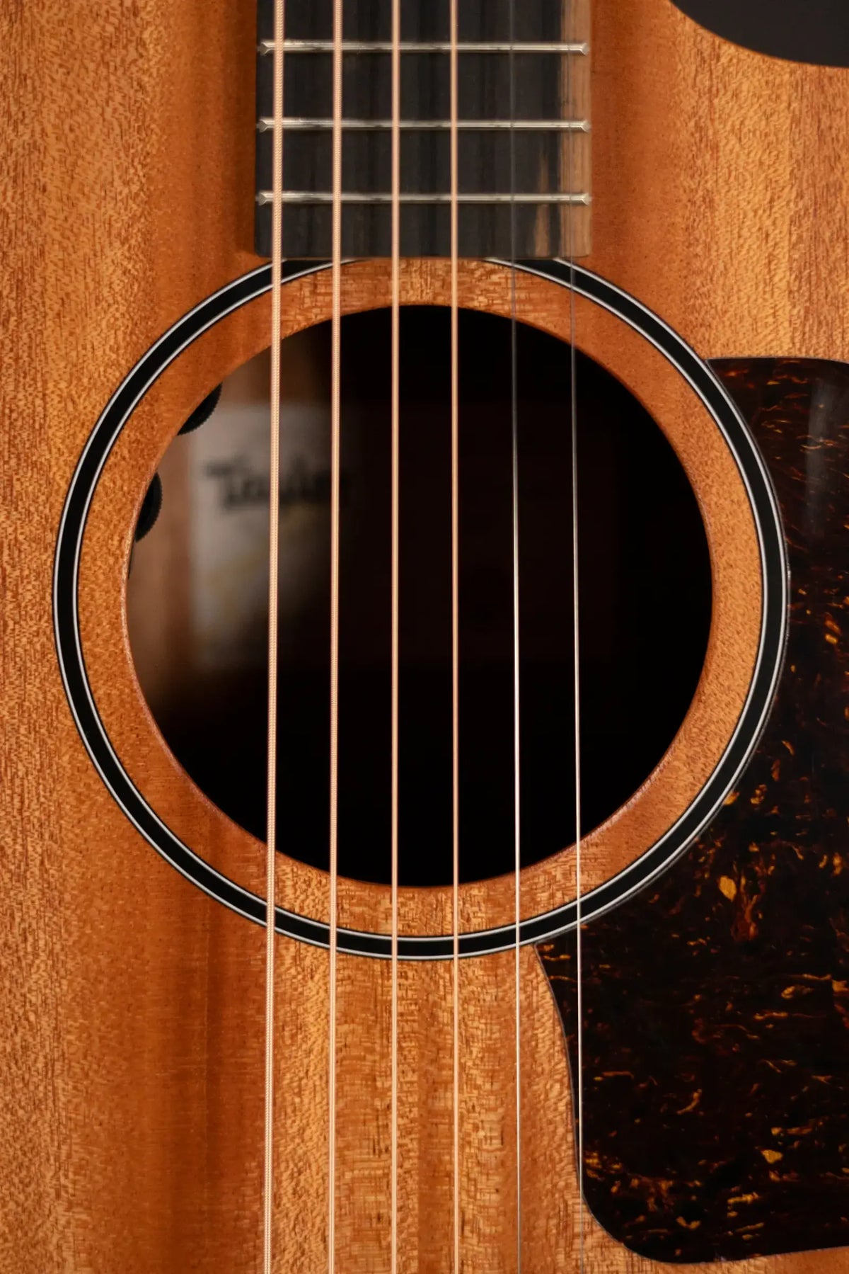 Taylor 24ce Grand Auditorium Acoustic-Electric Guitar with Gig Bag