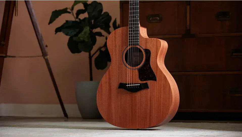 Taylor 24ce Grand Auditorium Acoustic/Electric Guitar with Gig Bag