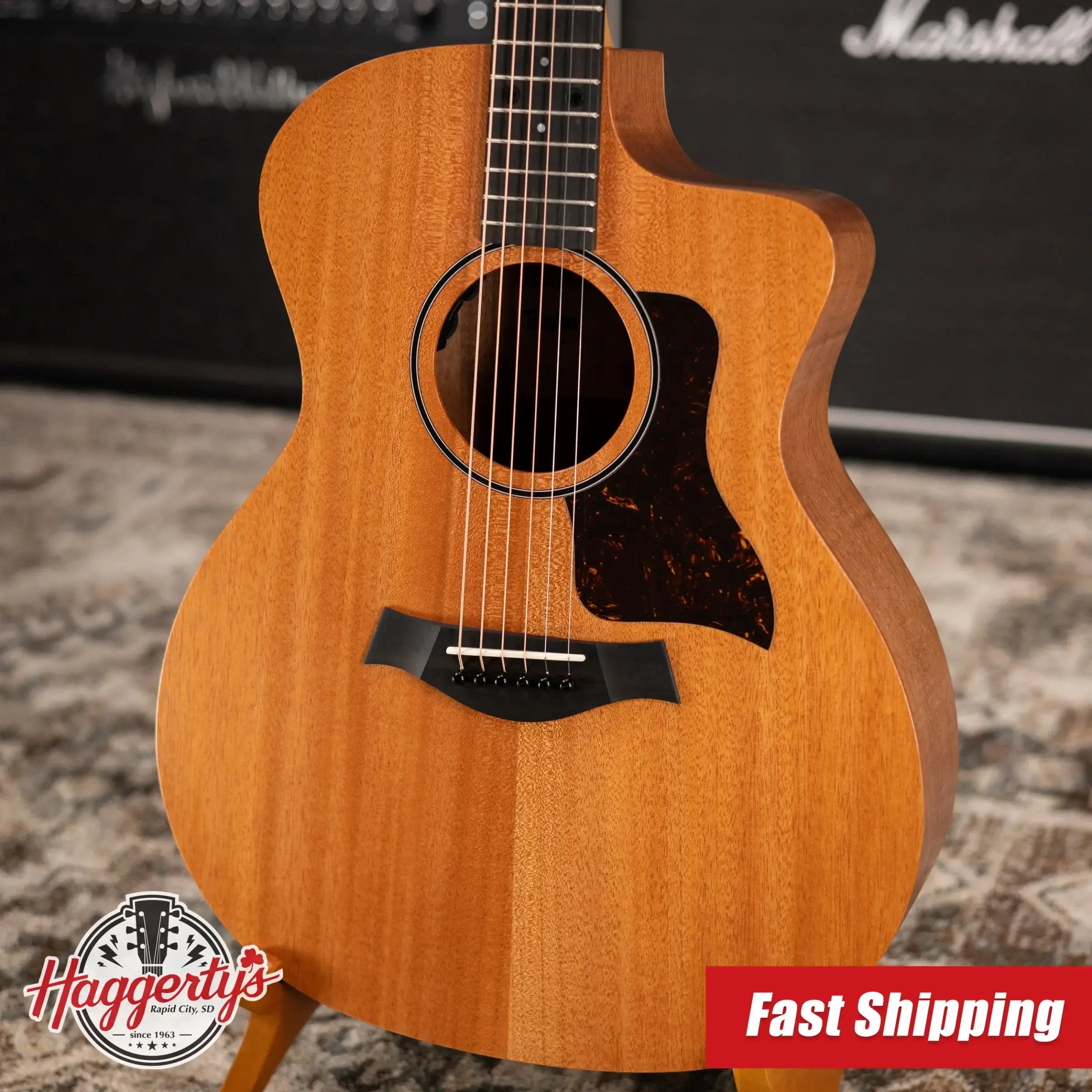 Taylor 24ce Grand Auditorium Acoustic/Electric Guitar with Gig Bag