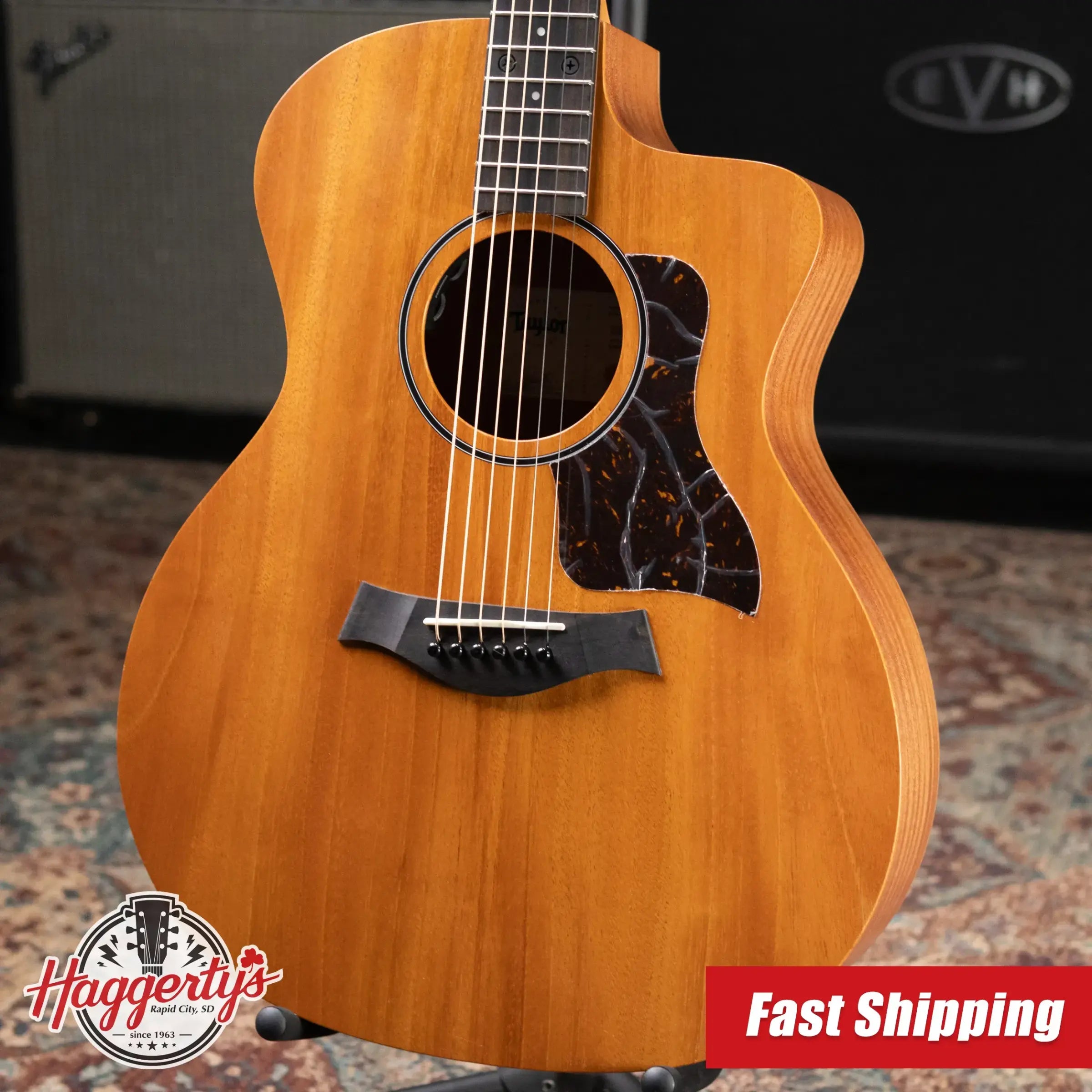 Taylor 24ce Grand Auditorium Acoustic-Electric Guitar with Gig Bag - Floor Demo