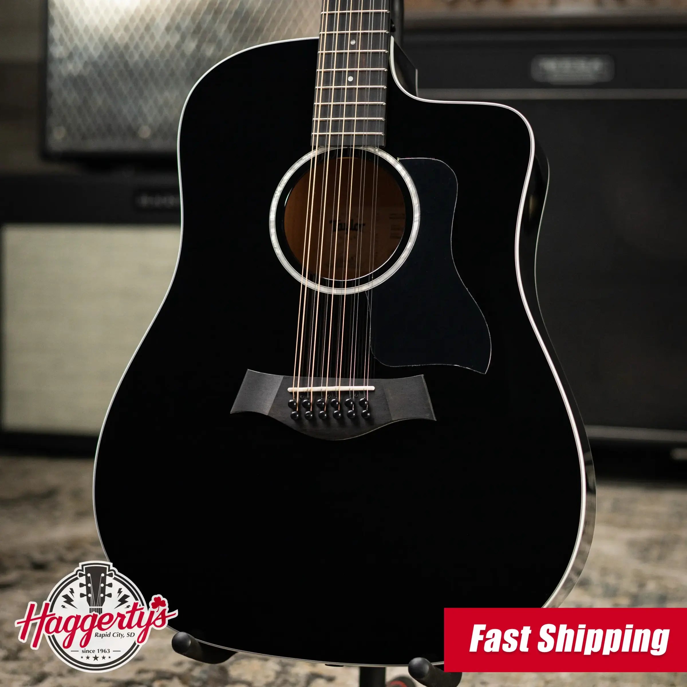 Taylor 250ce-BLK Plus 12-String Acoustic/Electric Guitar - Black with Aerocase